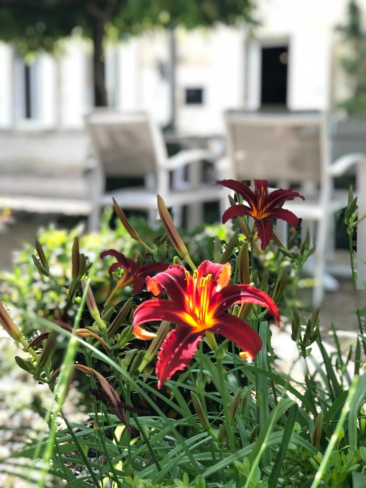 Patio in La Gomerie Chambres d'Hotes