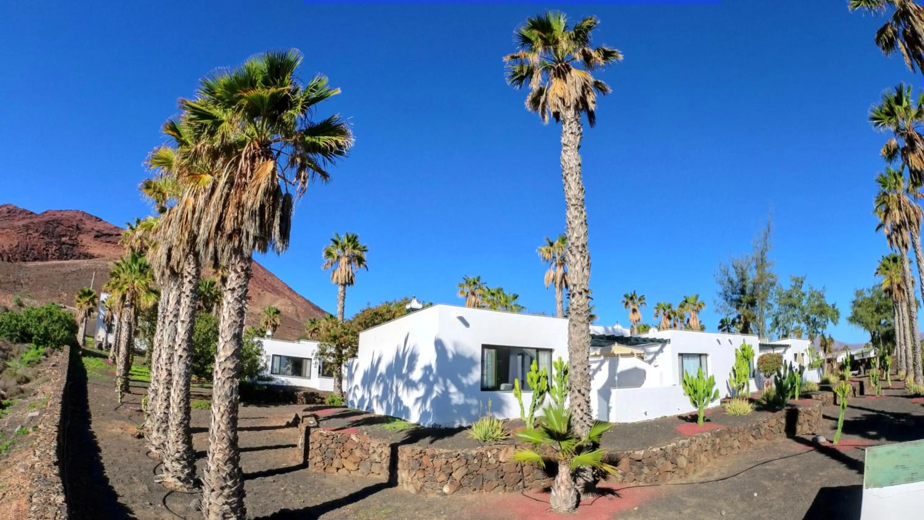 Property building in Palmeras Garden