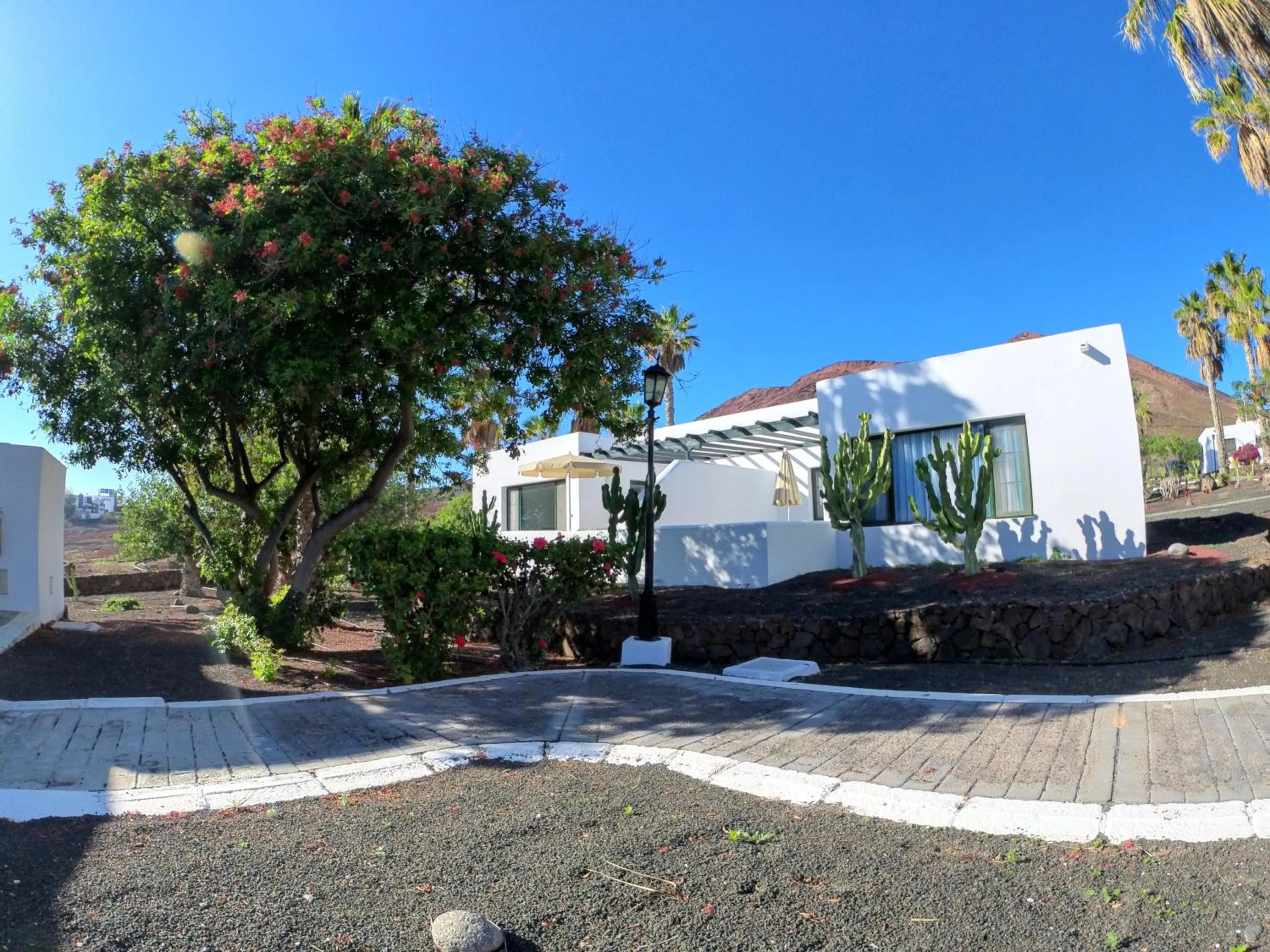 Property building in Palmeras Garden