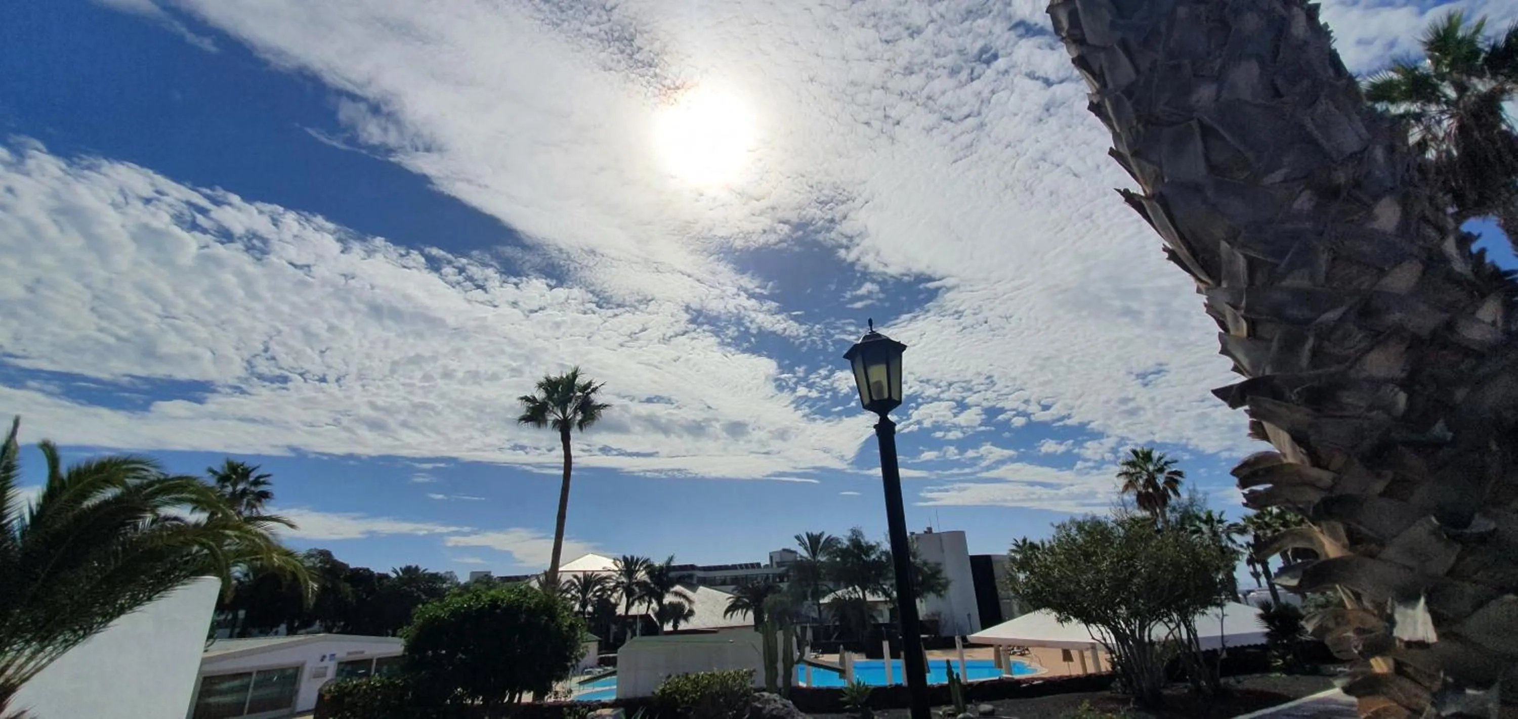 Garden view in Palmeras Garden