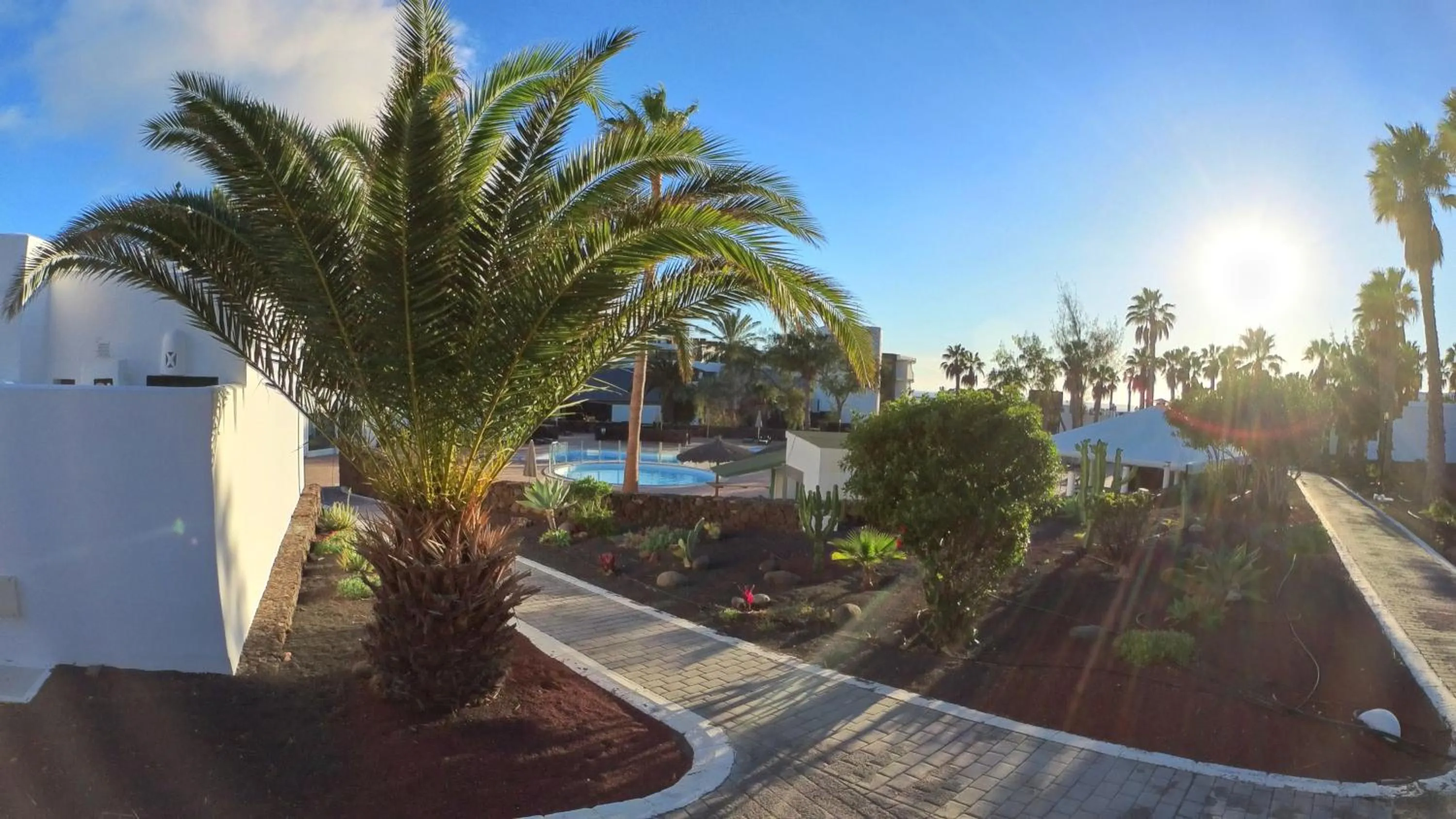 Garden in Palmeras Garden