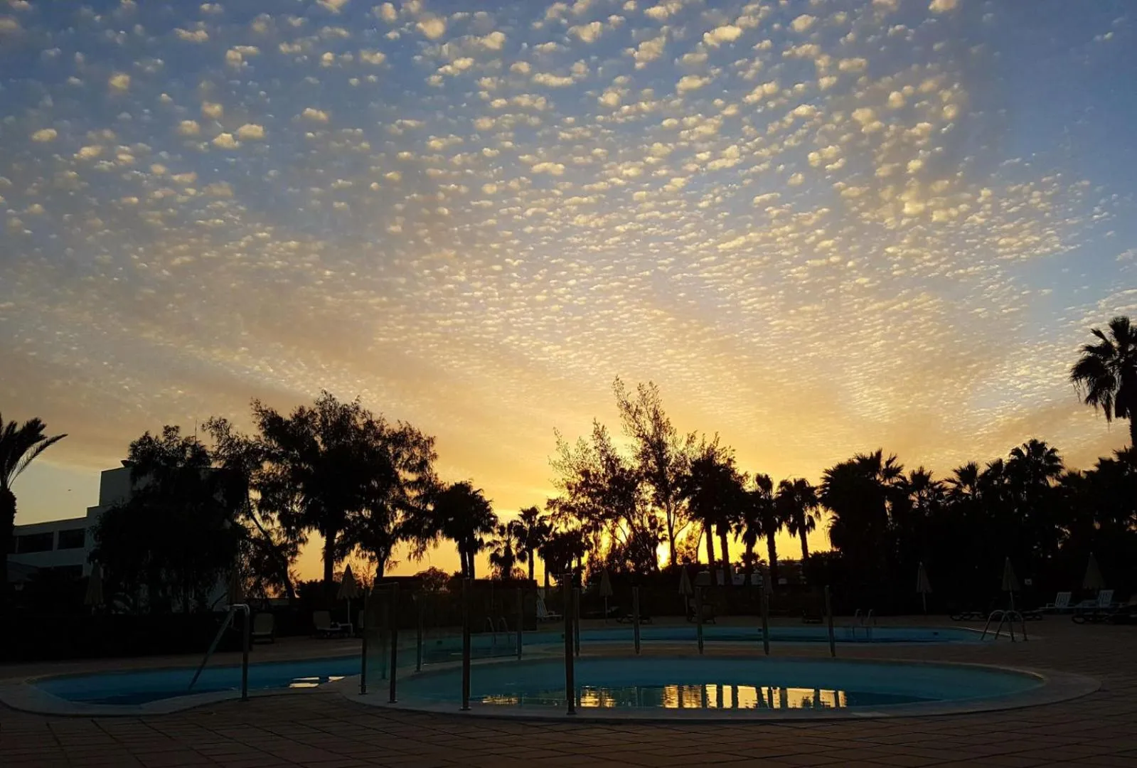 View (from property/room) in Palmeras Garden