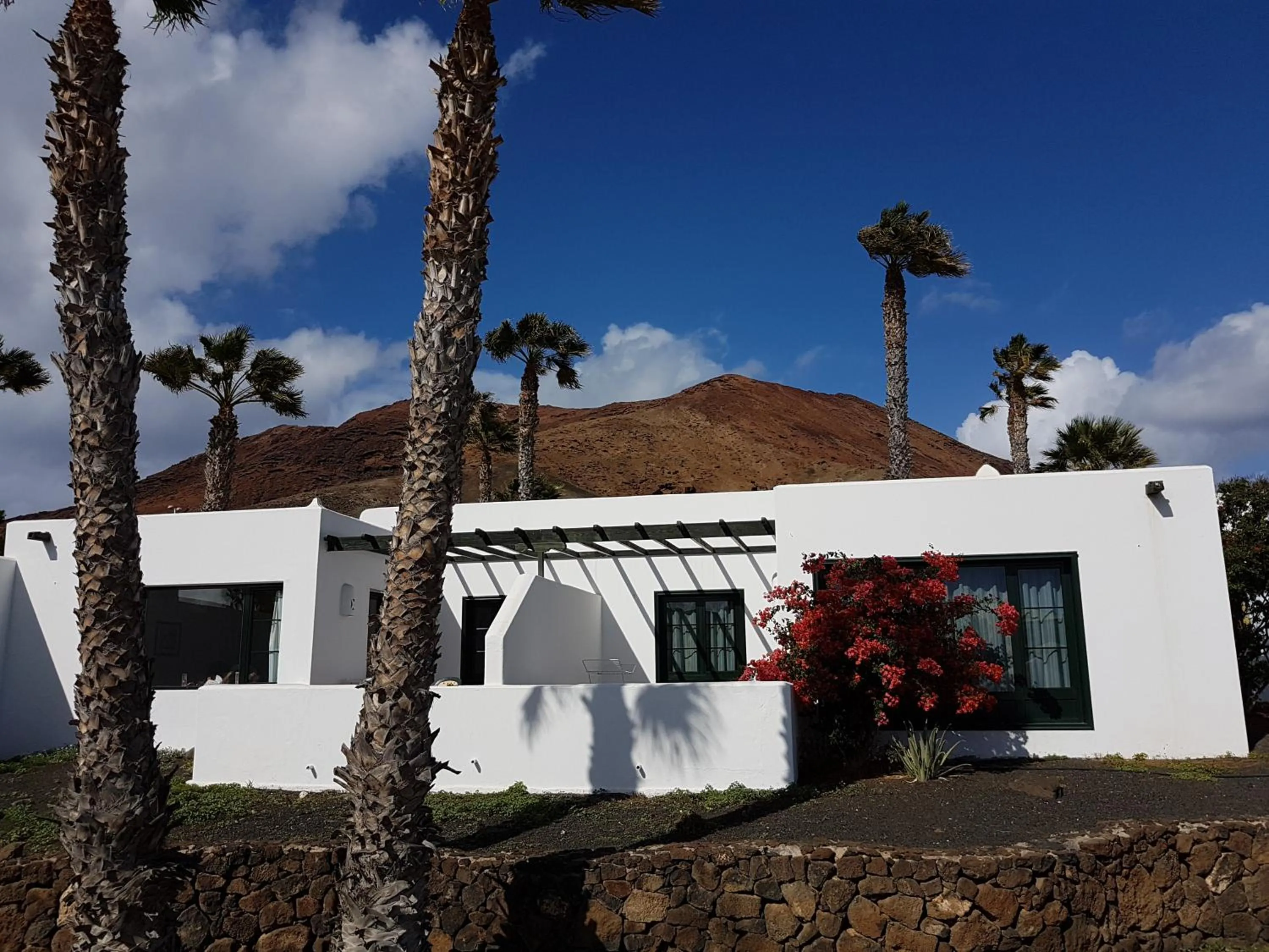 Photo of the whole room in Palmeras Garden