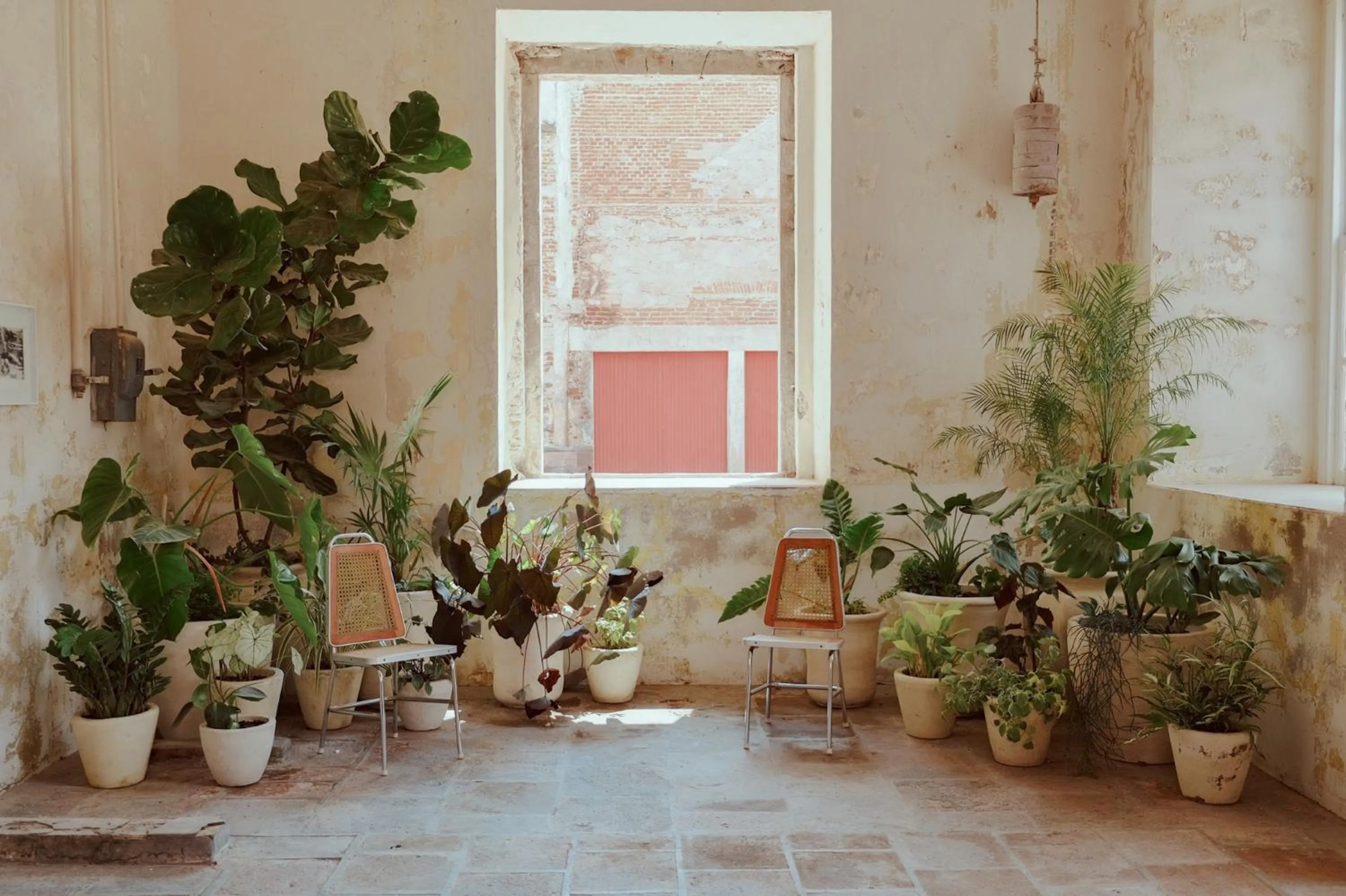 Property building in Hotel Hércules