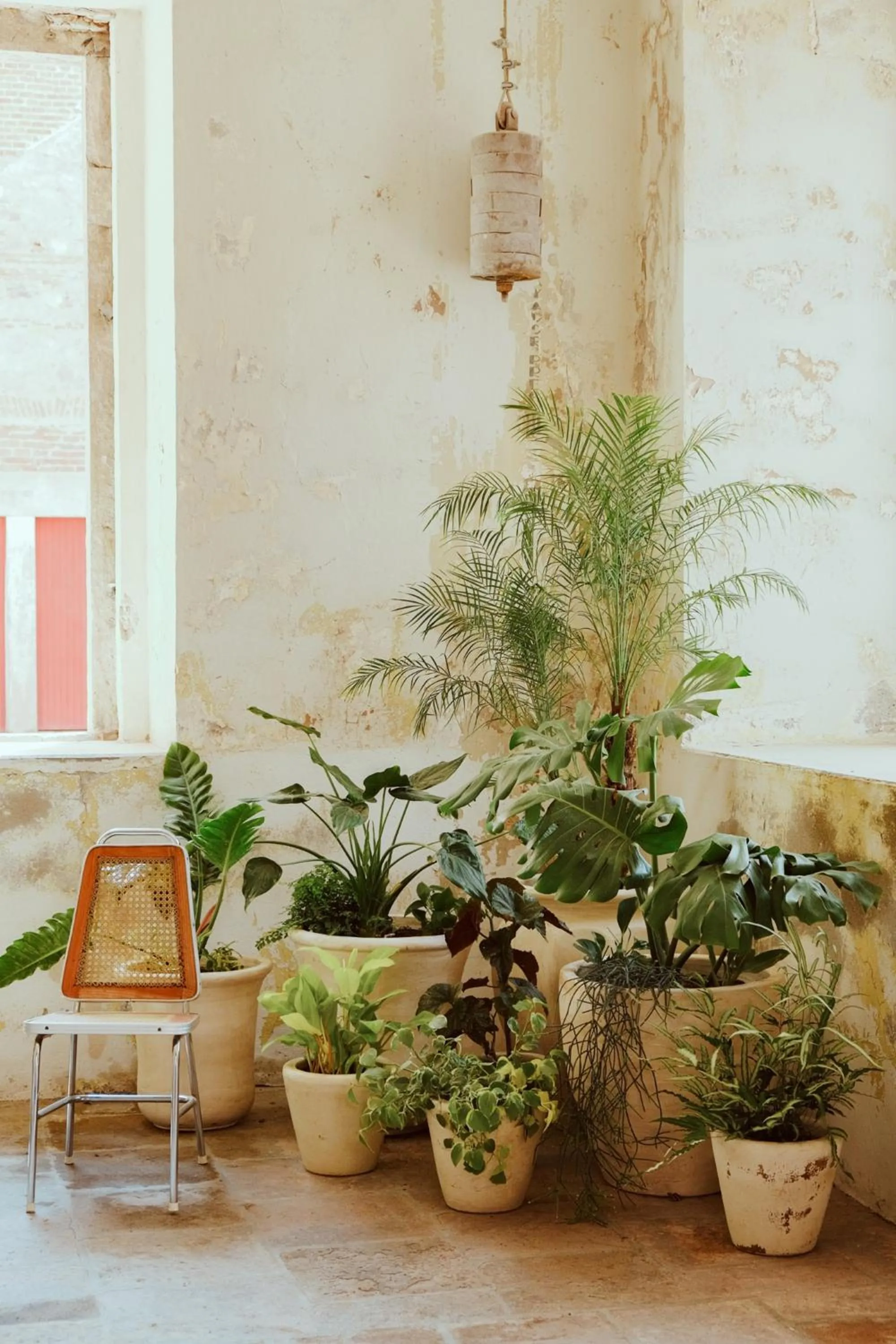 Property building in Hotel Hércules