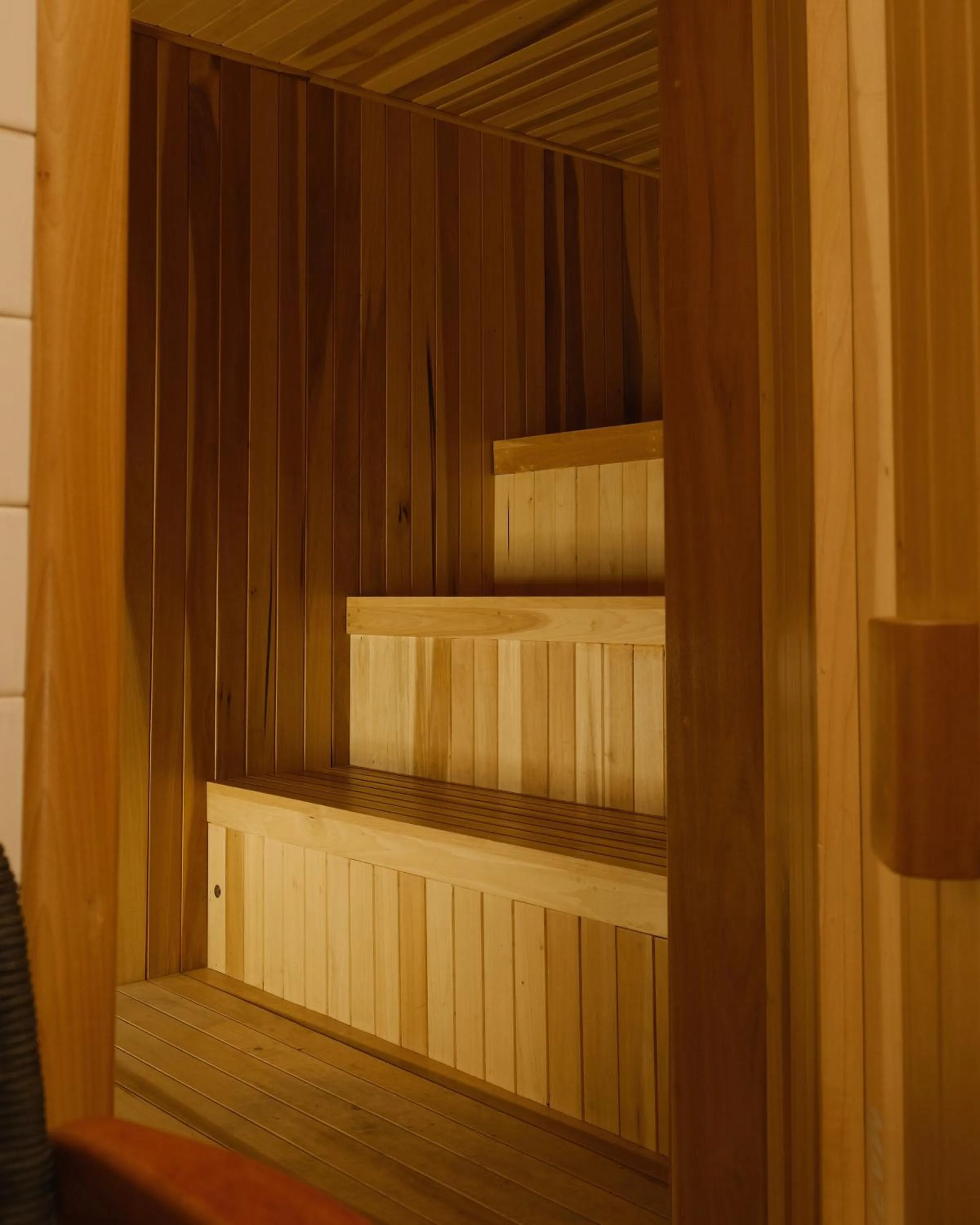 Spa and wellness centre/facilities in Hotel Hércules