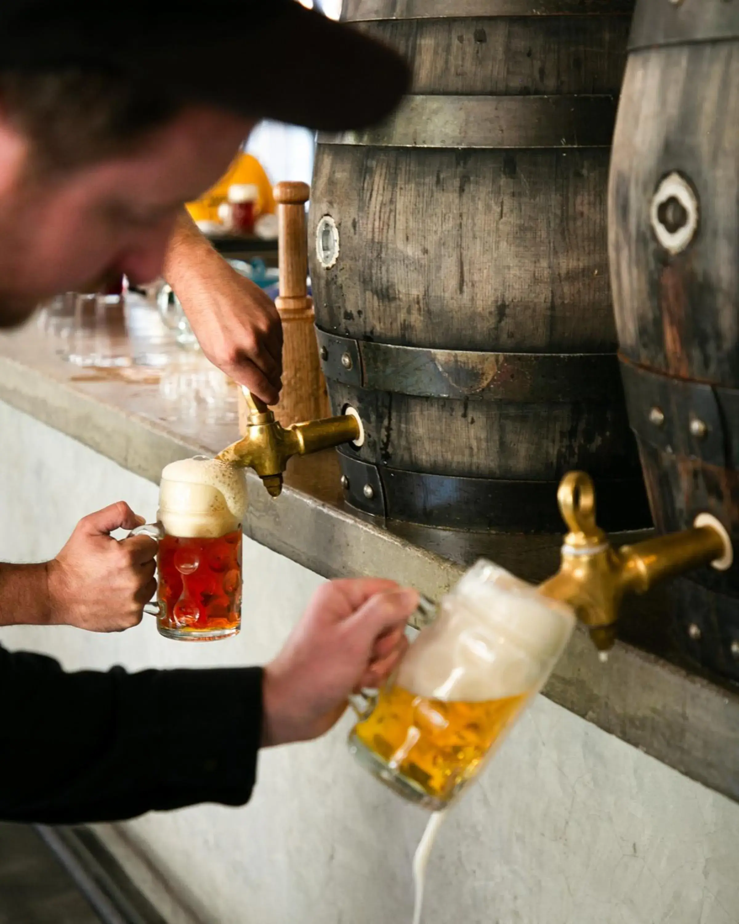 Hotel Hércules Hotel Hércules