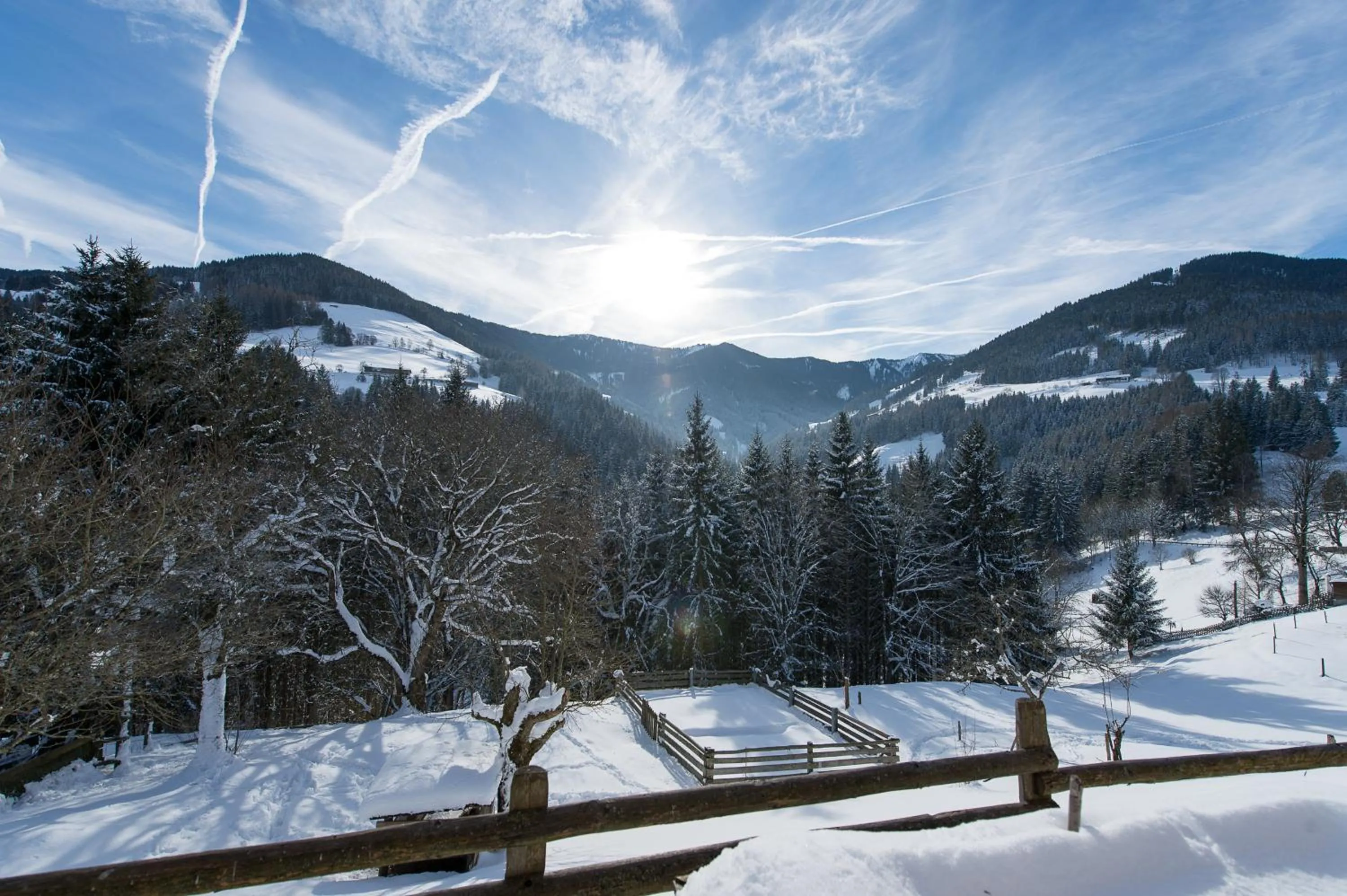Natural landscape in Hotel Gasthof Erbhof Anderlhof