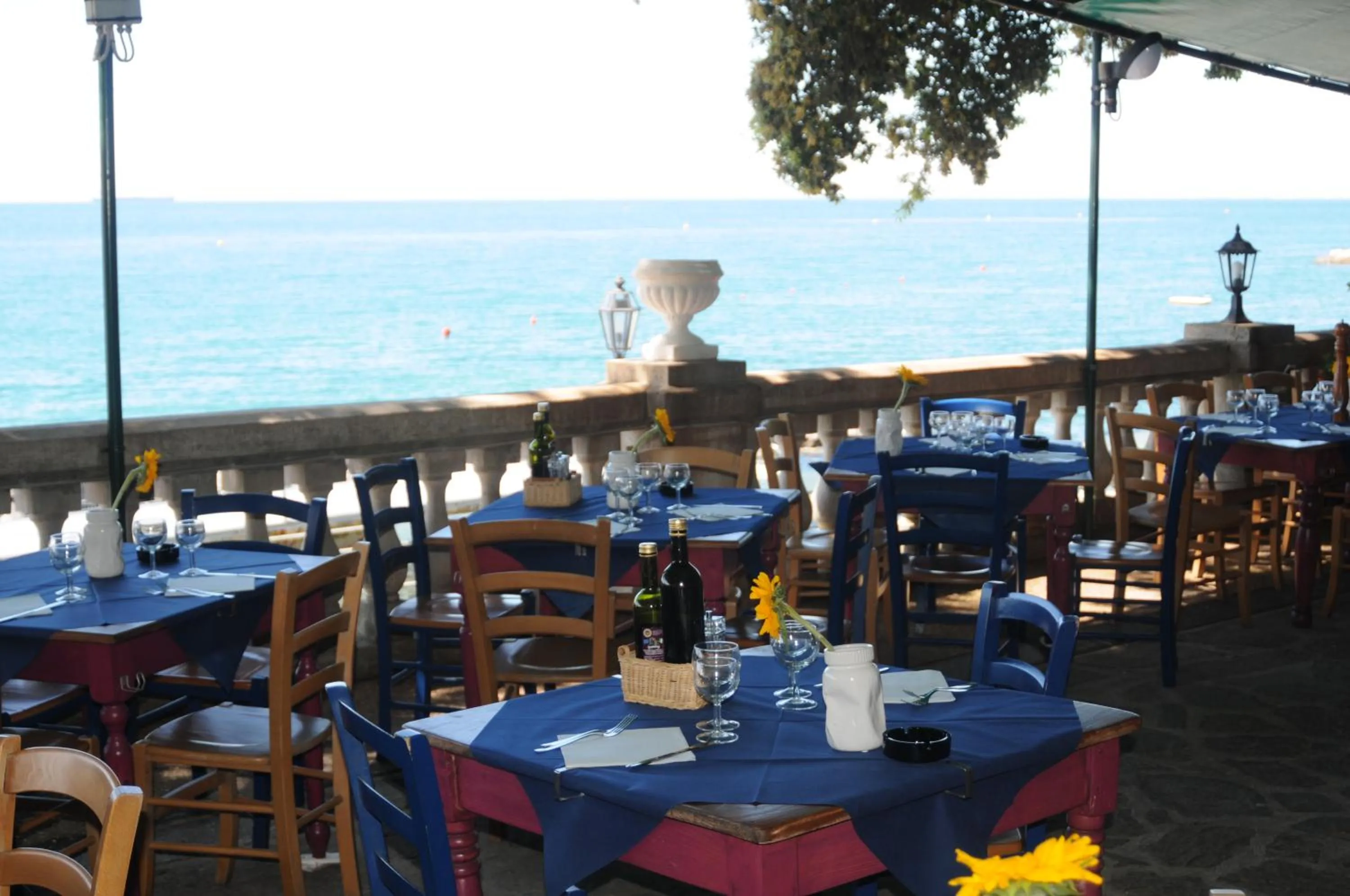 Restaurant/places to eat in Villa Tergeste