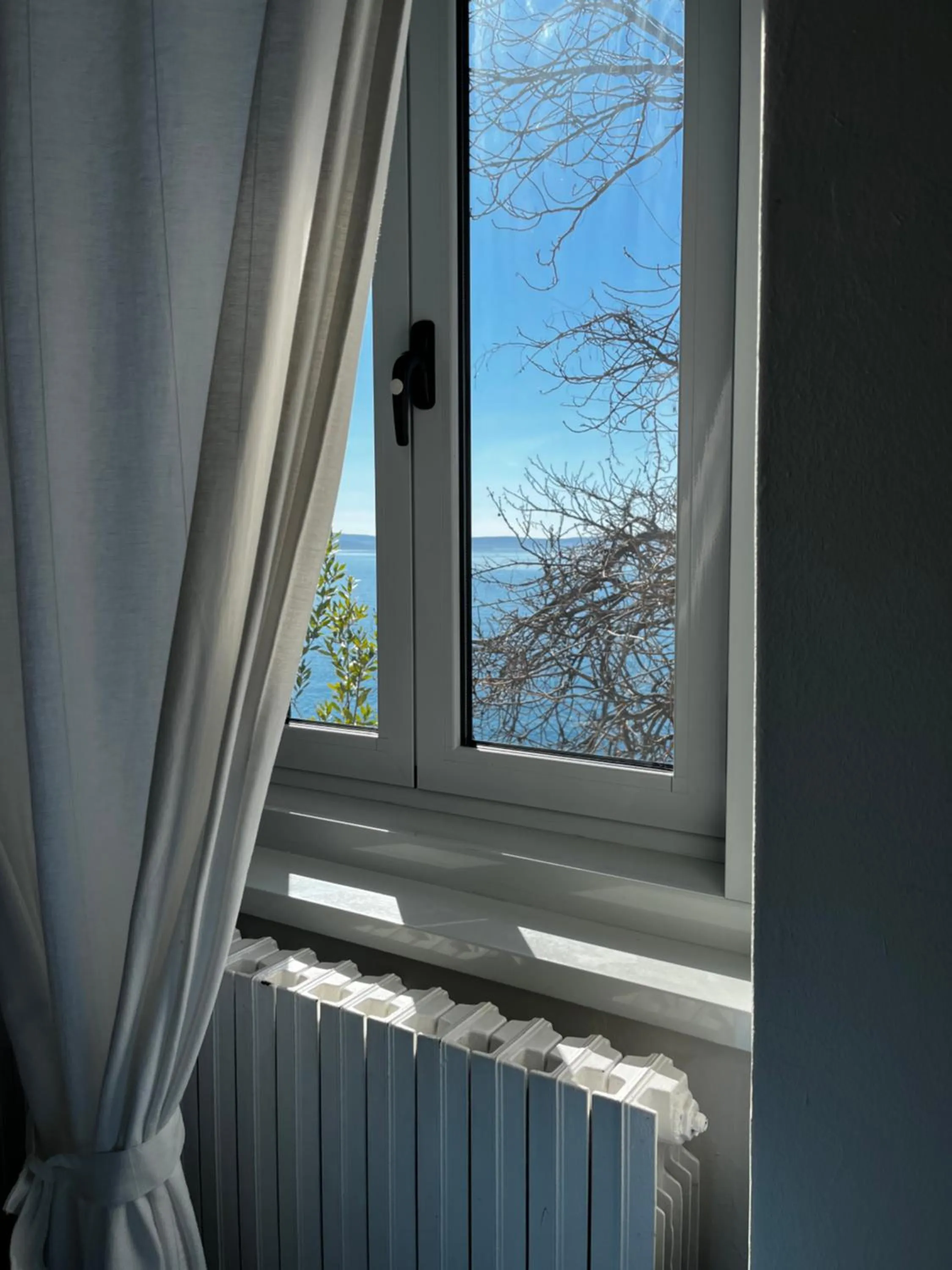 Natural landscape in Villa Tergeste