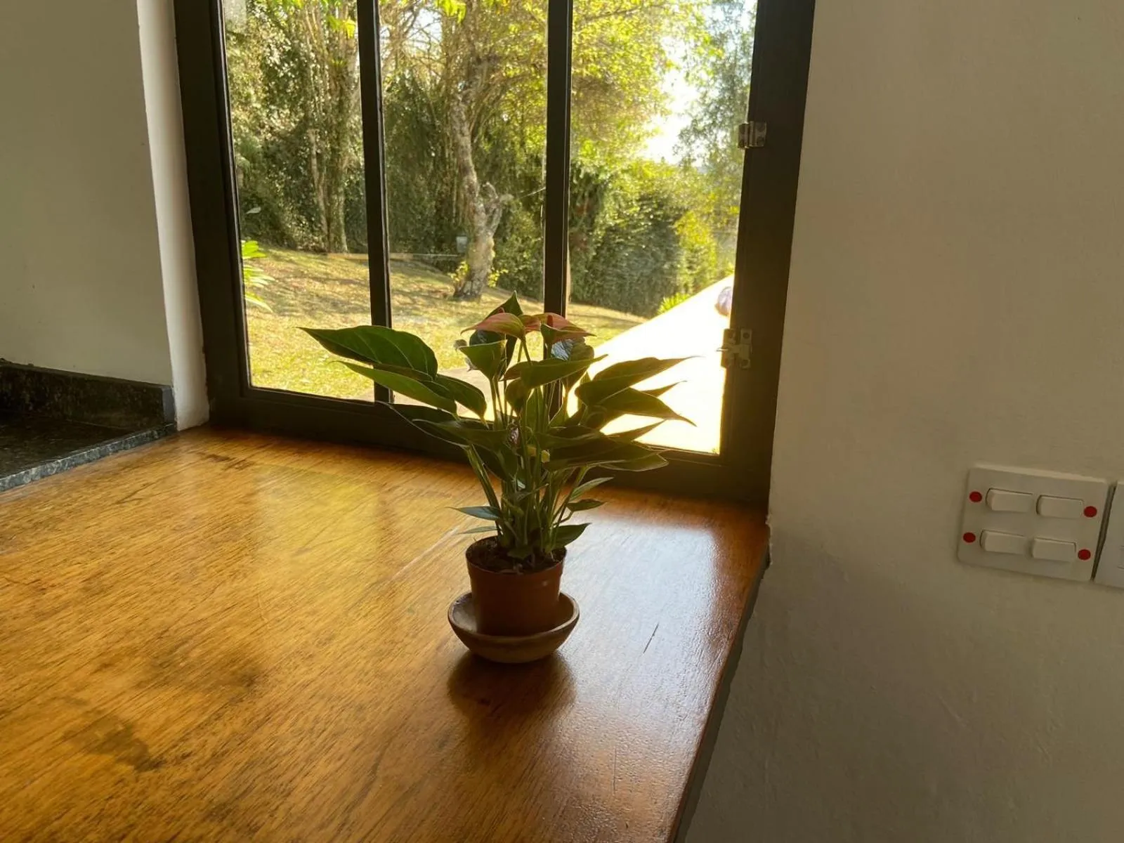 Casa de arquiteto com vista, jardim e lareira