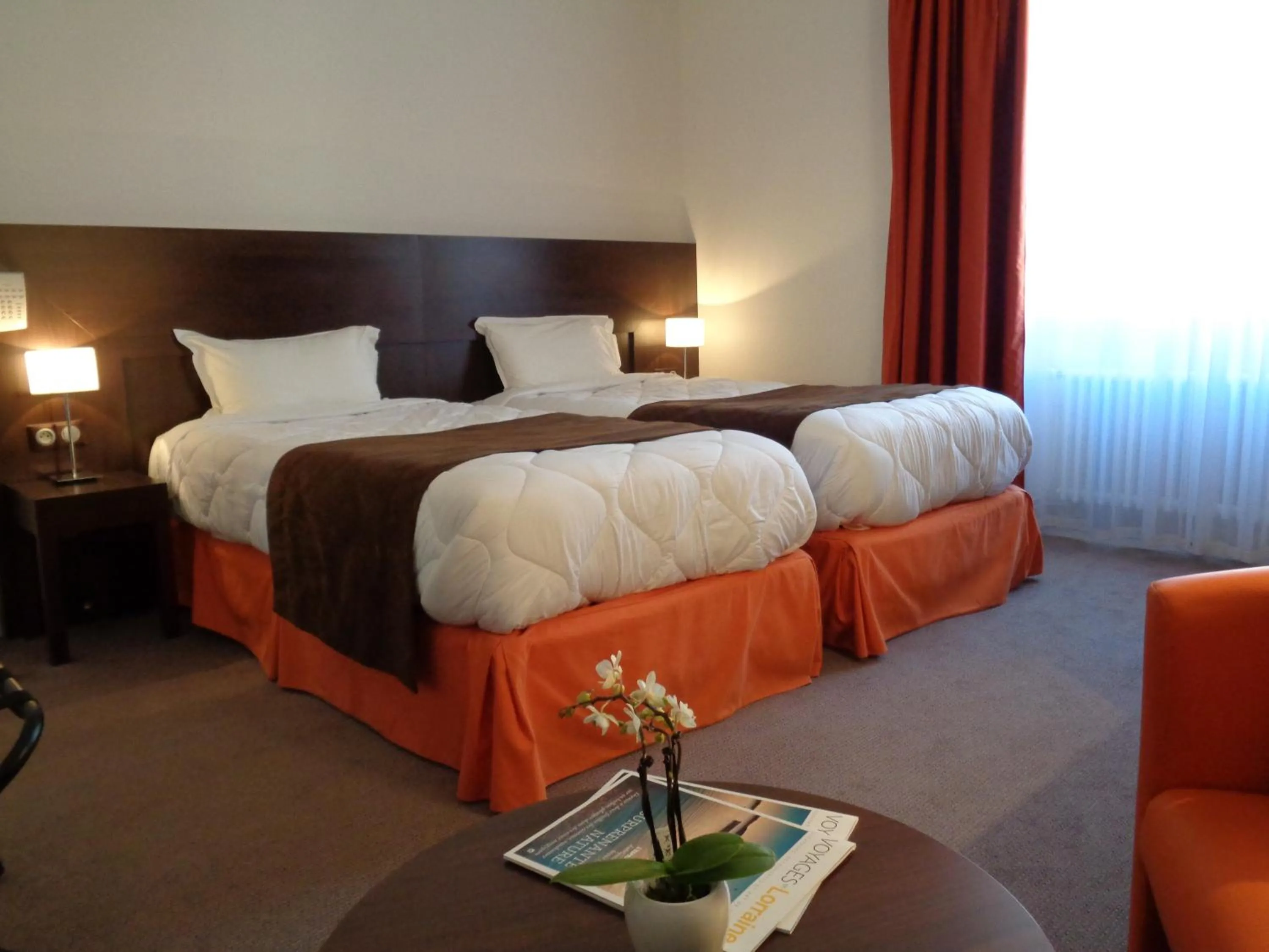 Superior Twin Room in Hotel de Montaulbain
