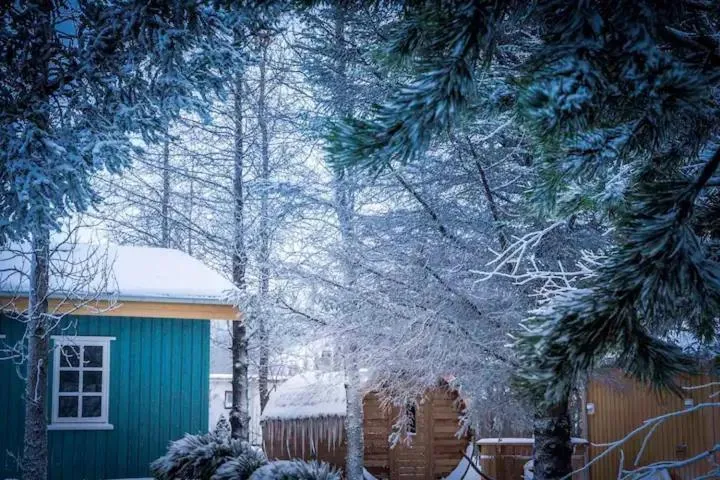 Garden in Backyard Village