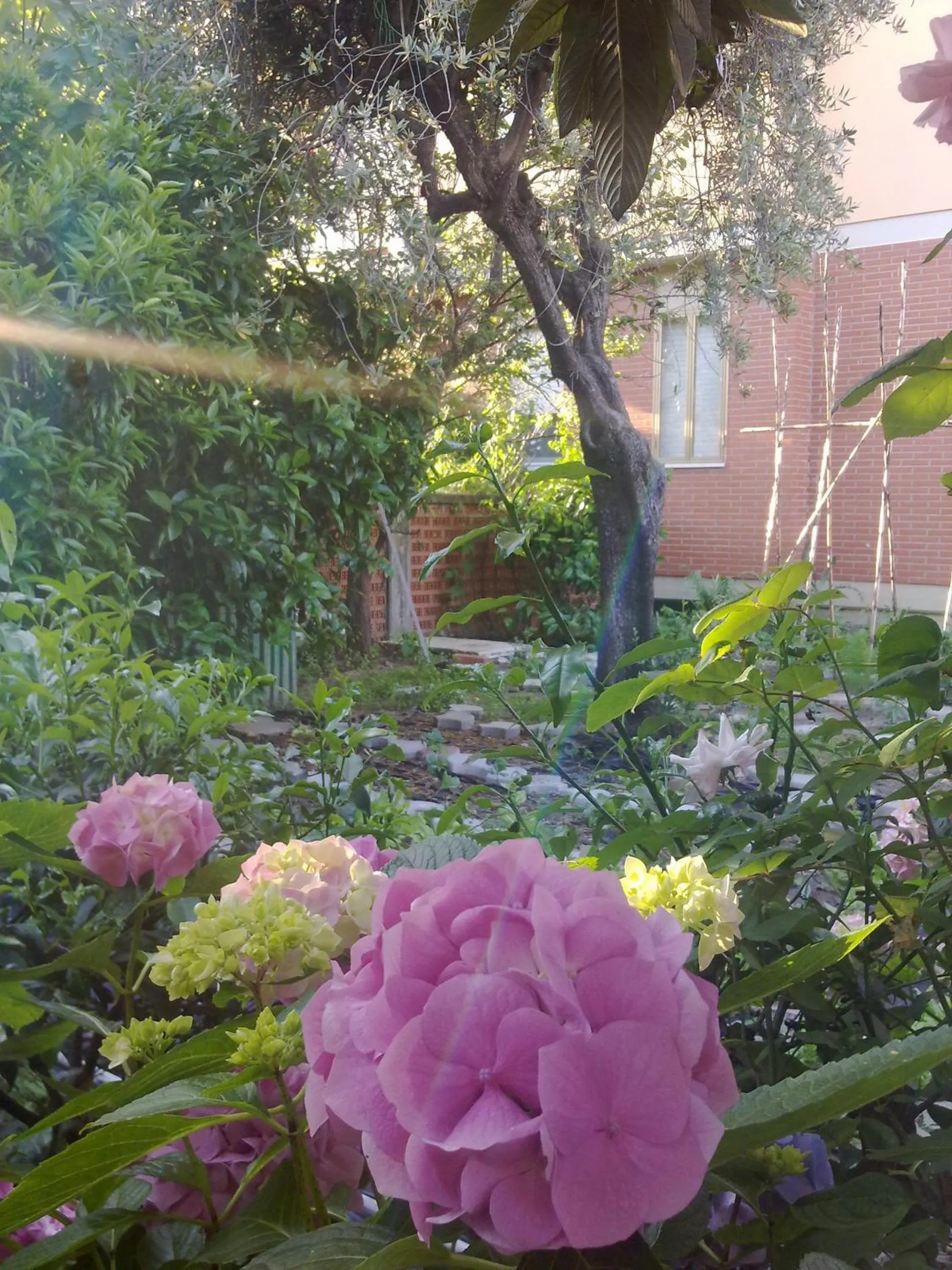 Eco B&B I Due Oleandri