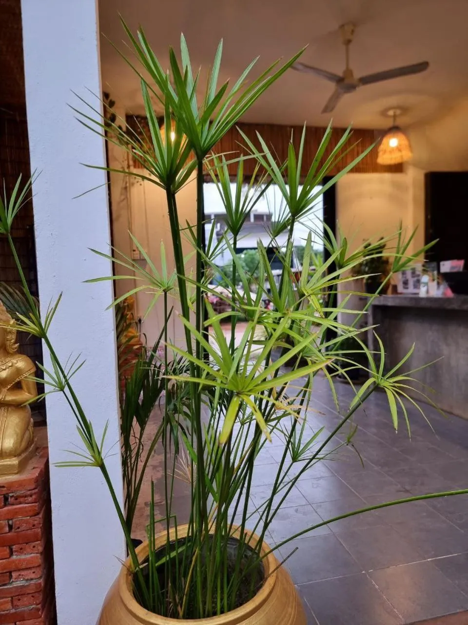 Lobby or reception in Green BOUTiQUE