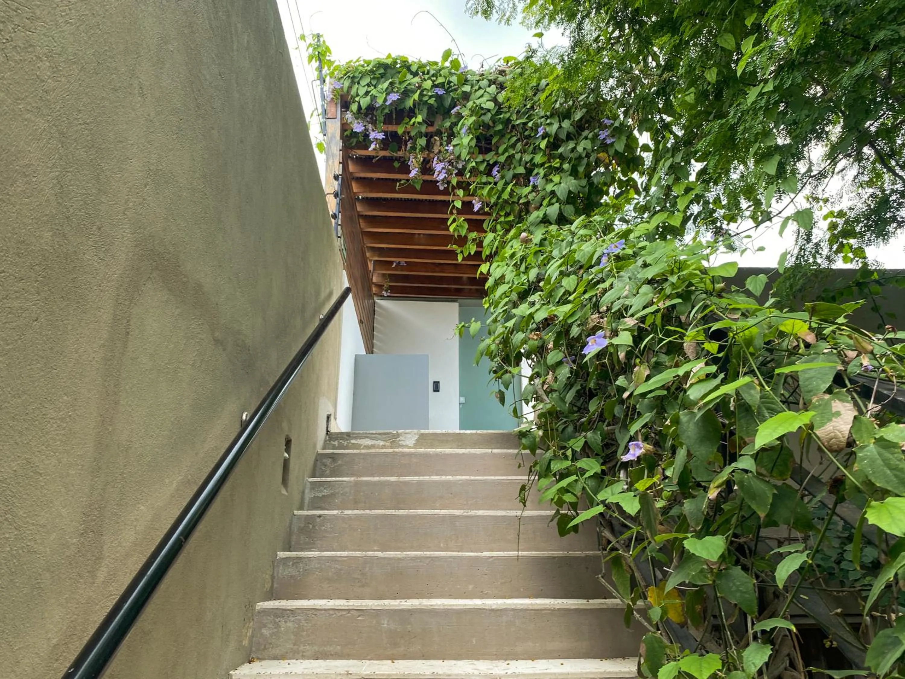 Property building in Casa Charlotte - Alma Hotels