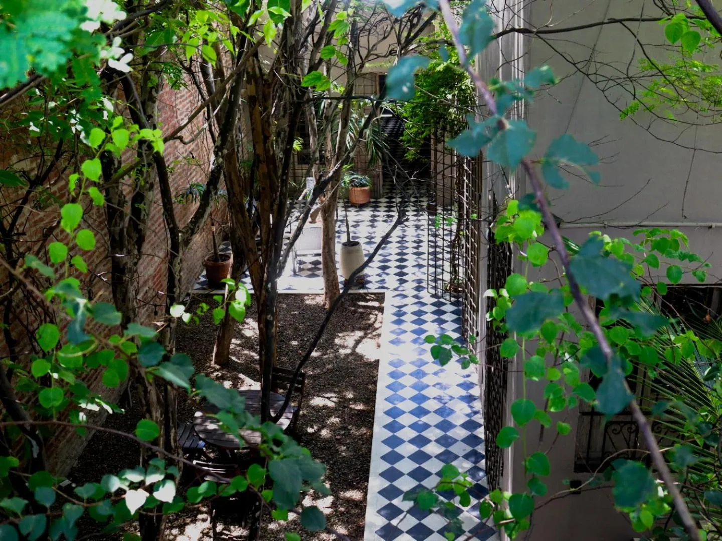 Garden in Casa Charlotte - Alma Hotels