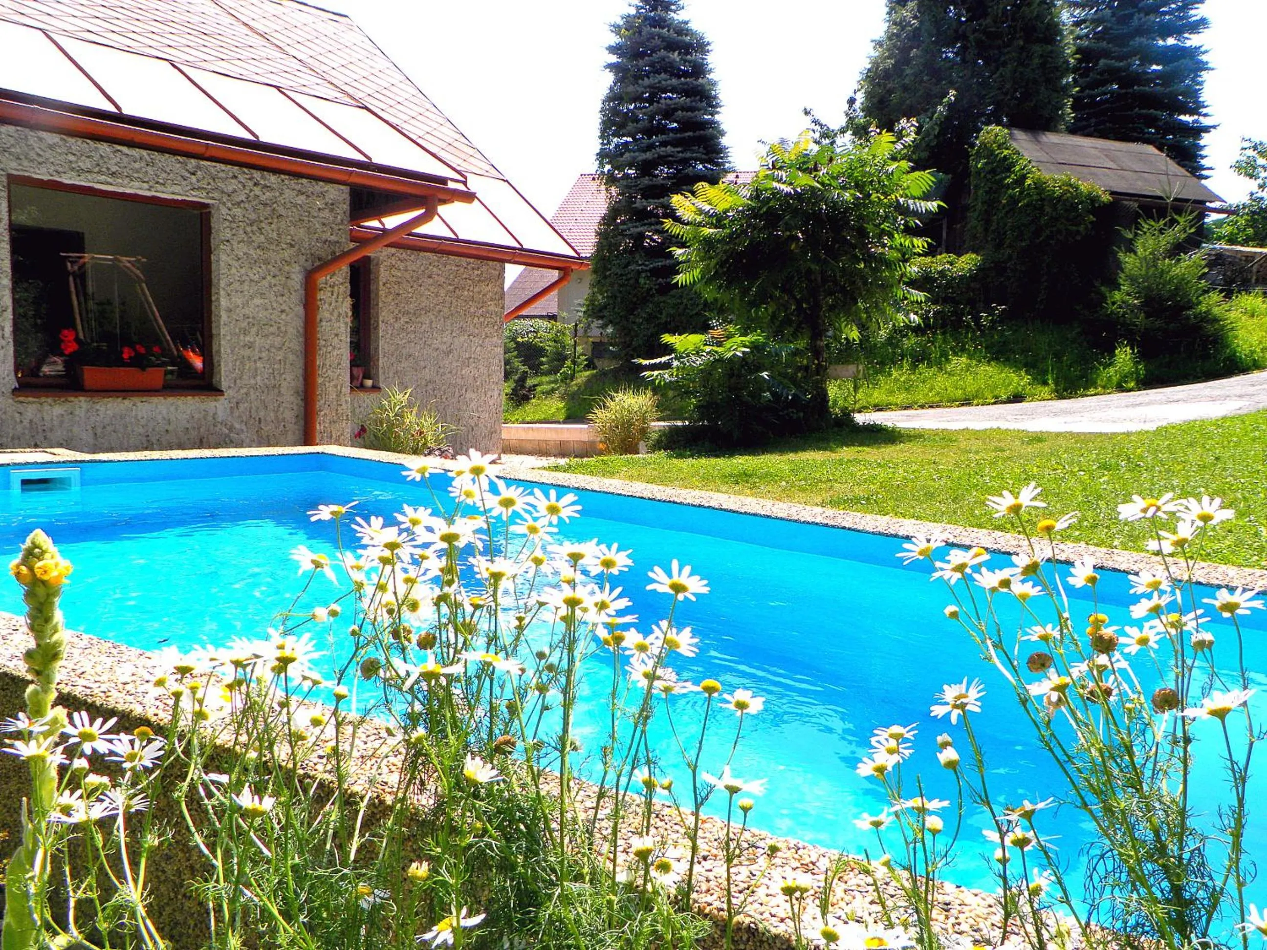 Swimming pool in Penzion Bor