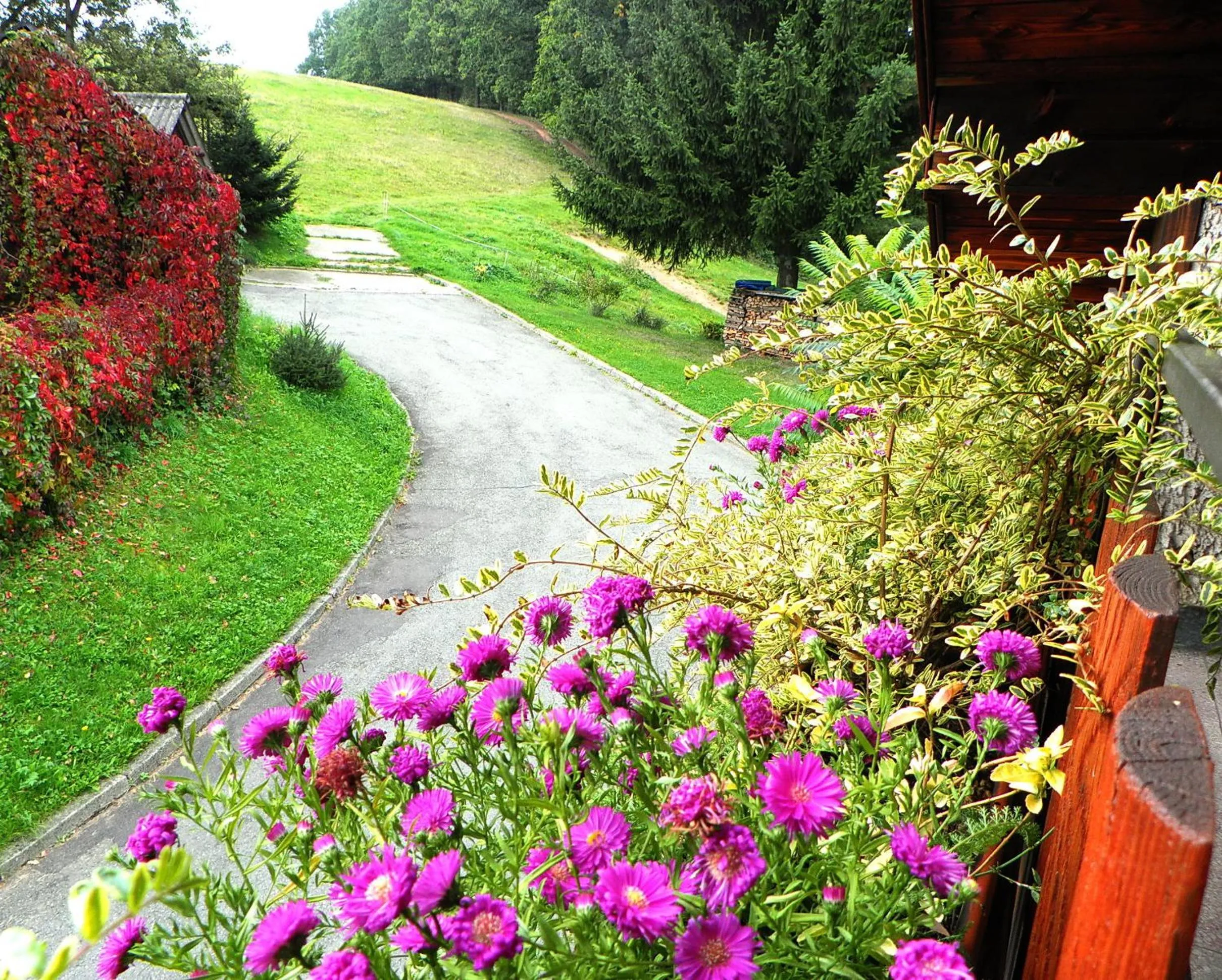 View (from property/room) in Penzion Bor