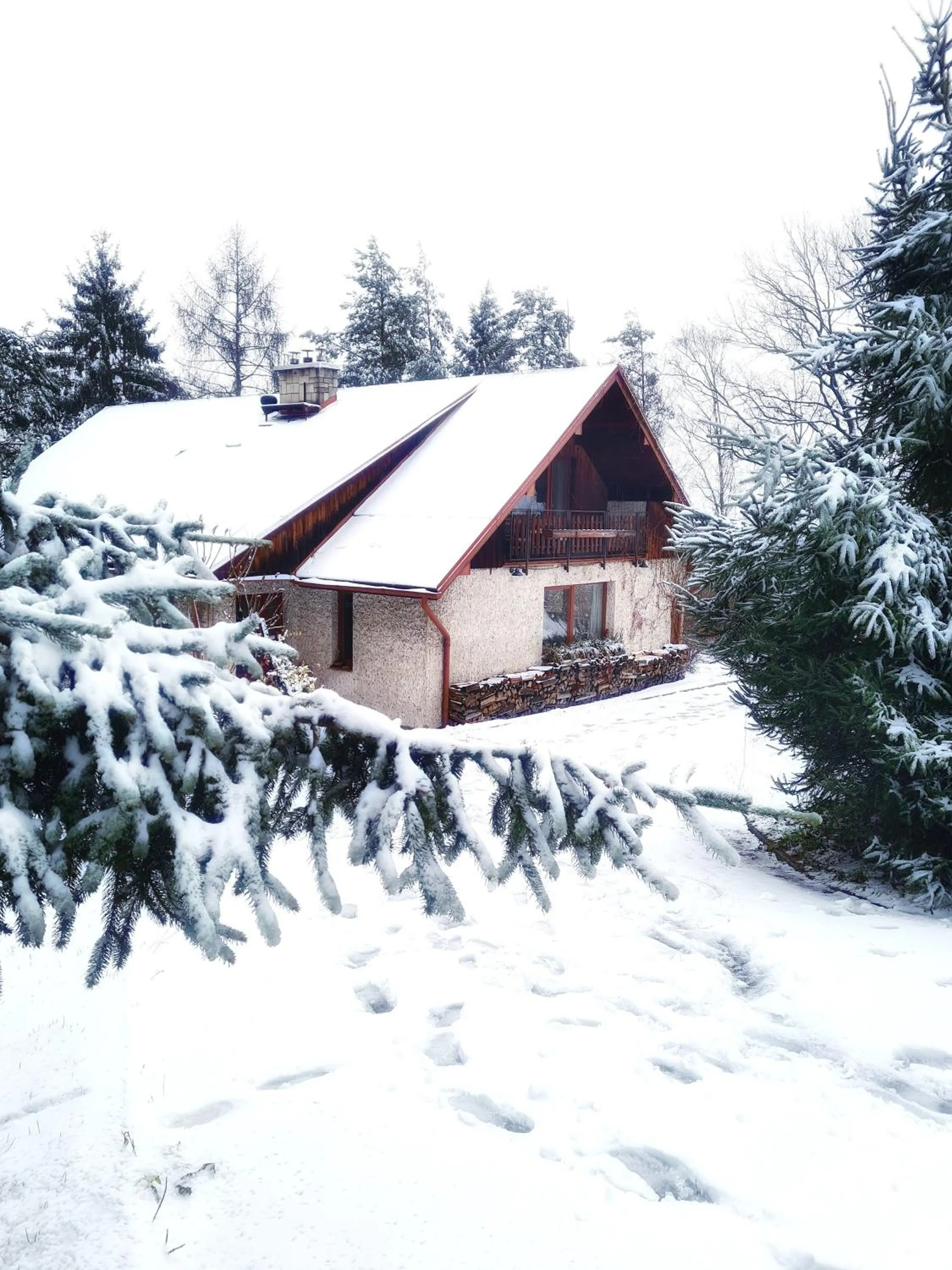 Penzion Bor