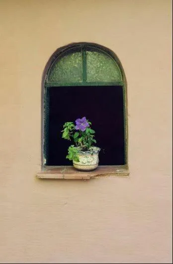 Decorative detail in Posada Don Salvador