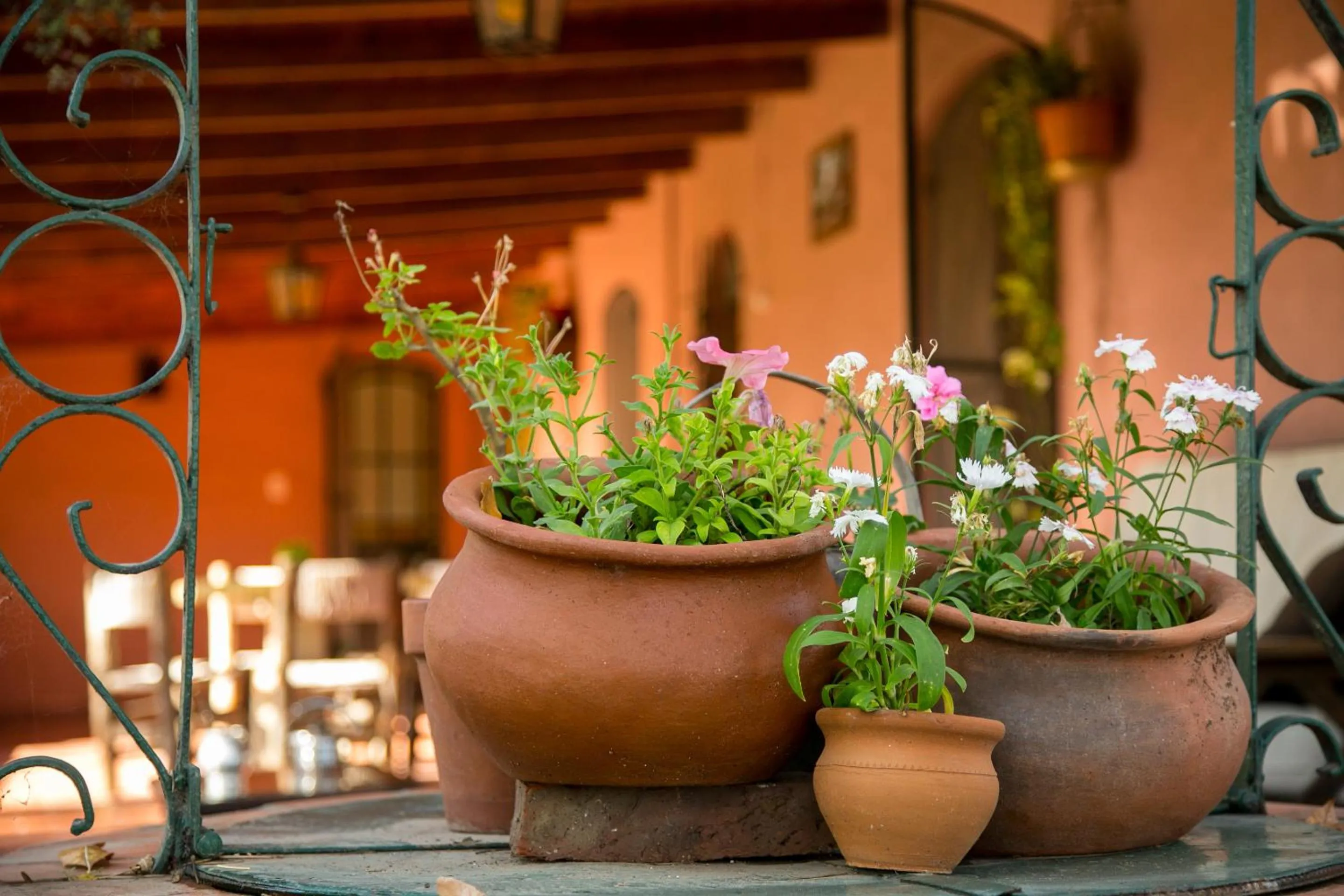Decorative detail in Posada Don Salvador