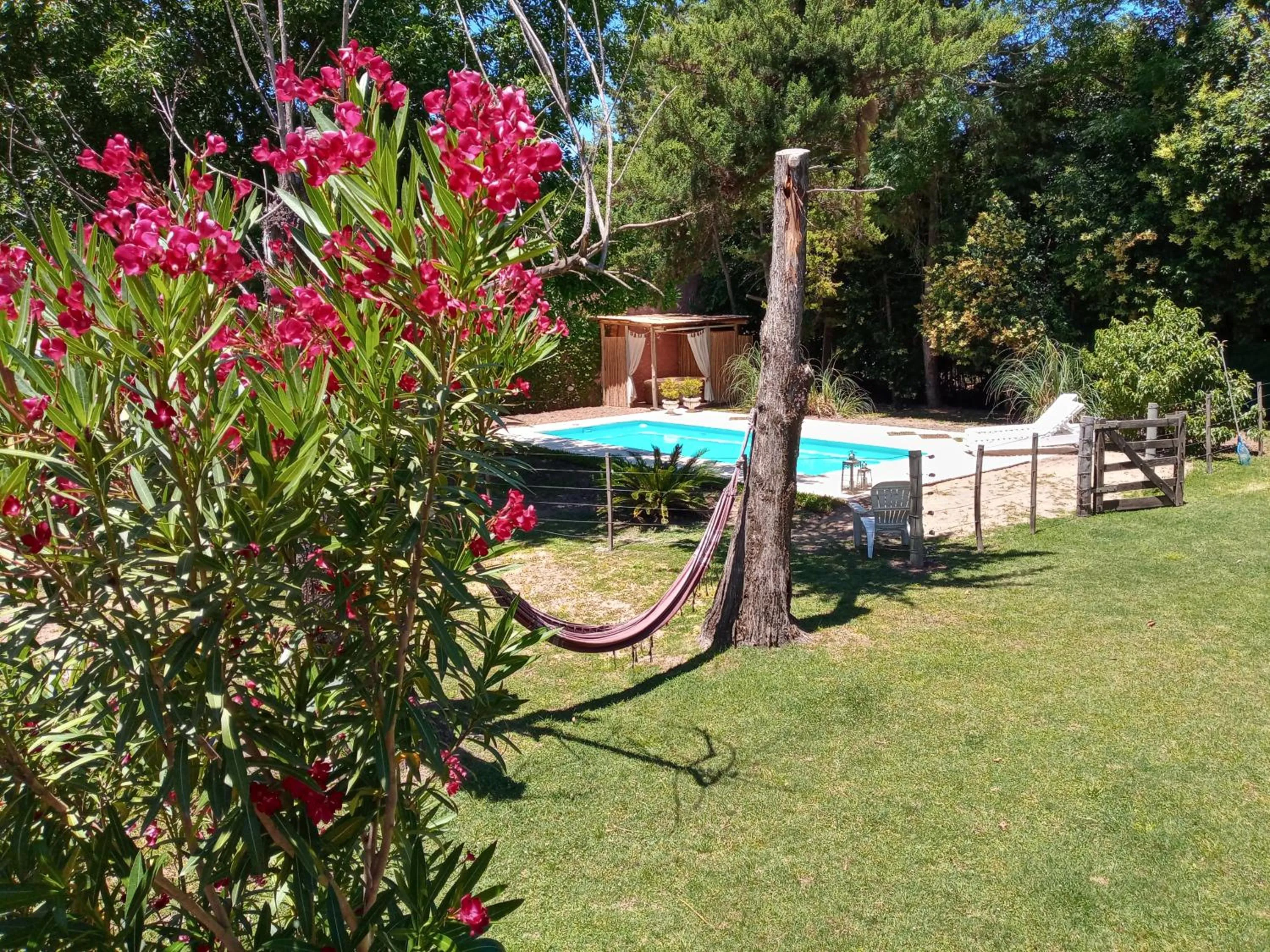 Posada Don Salvador
