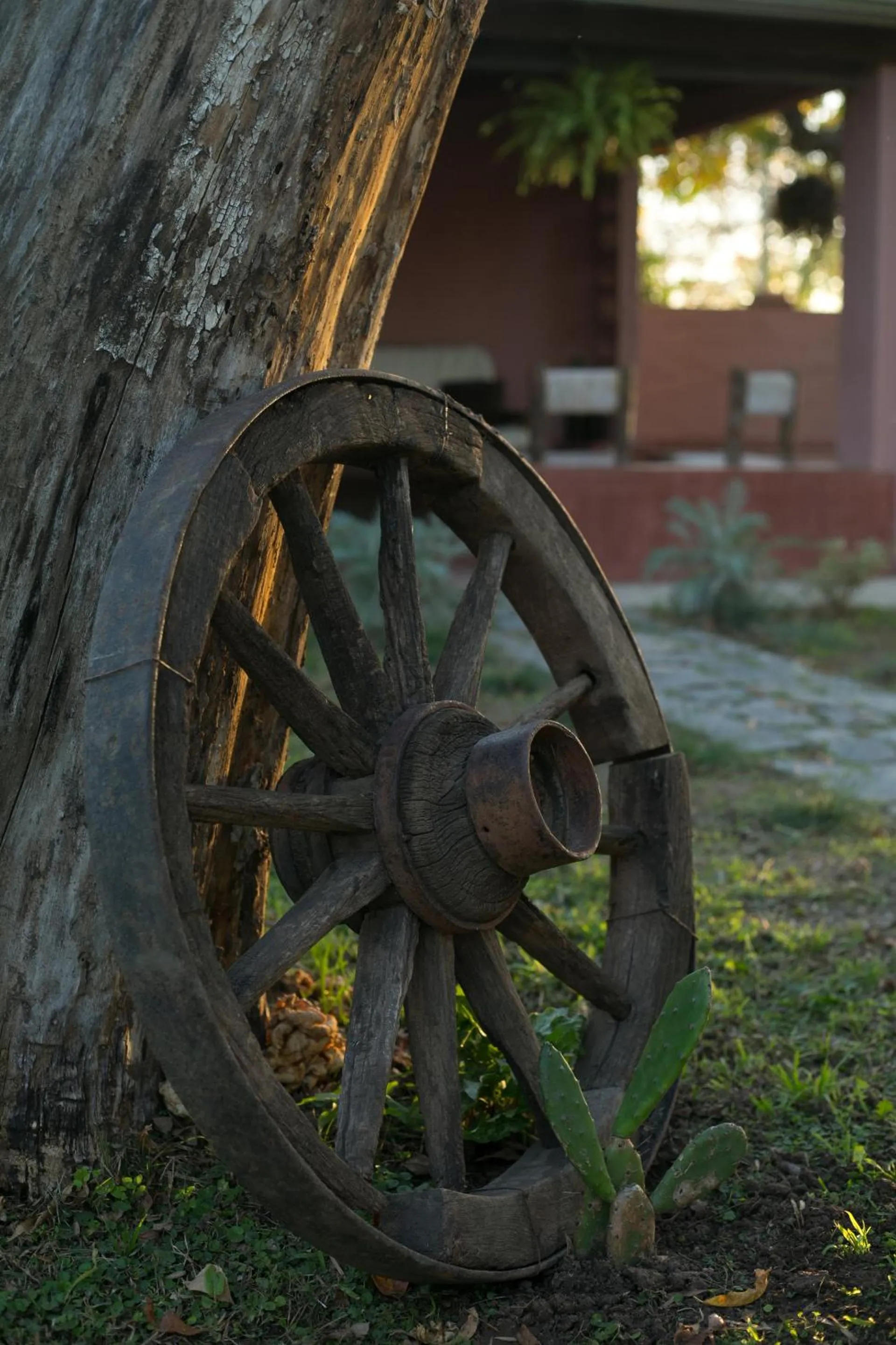 Decorative detail in Posada Don Salvador