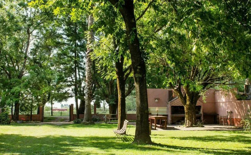 Garden in Posada Don Salvador