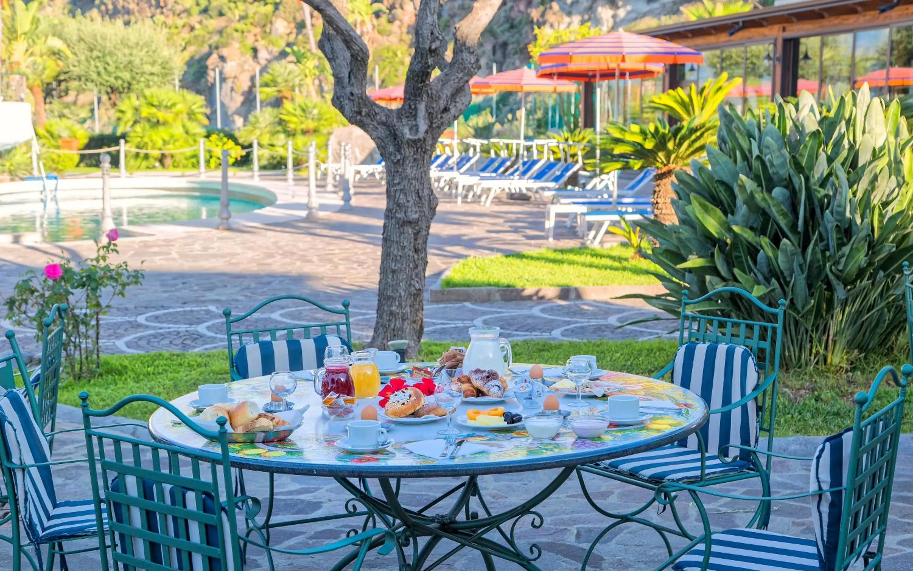 Garden in Hotel Zaro