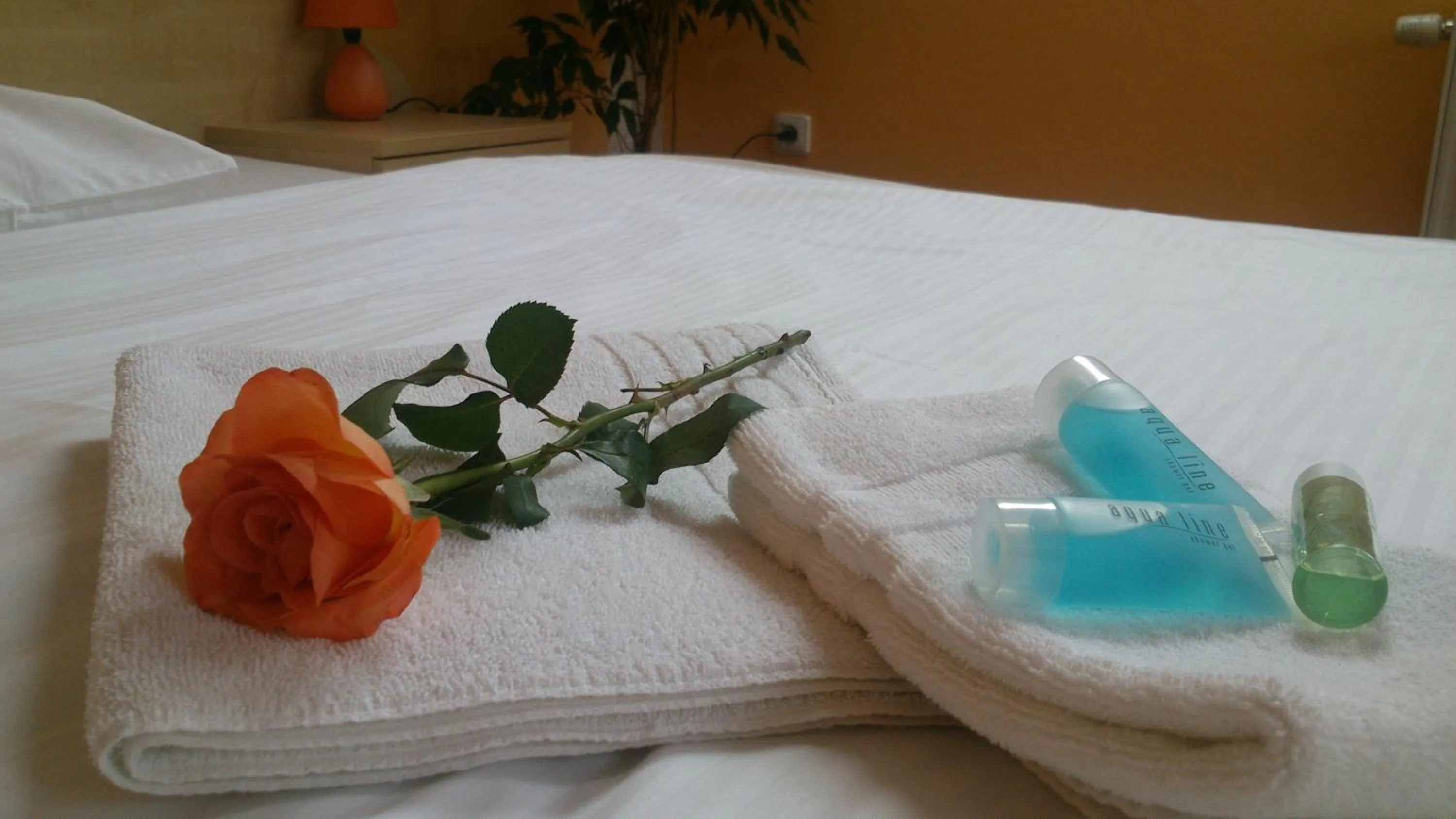 Area and facilities, Bed in Hotel & Motorest V Údolí Zlatého potoka