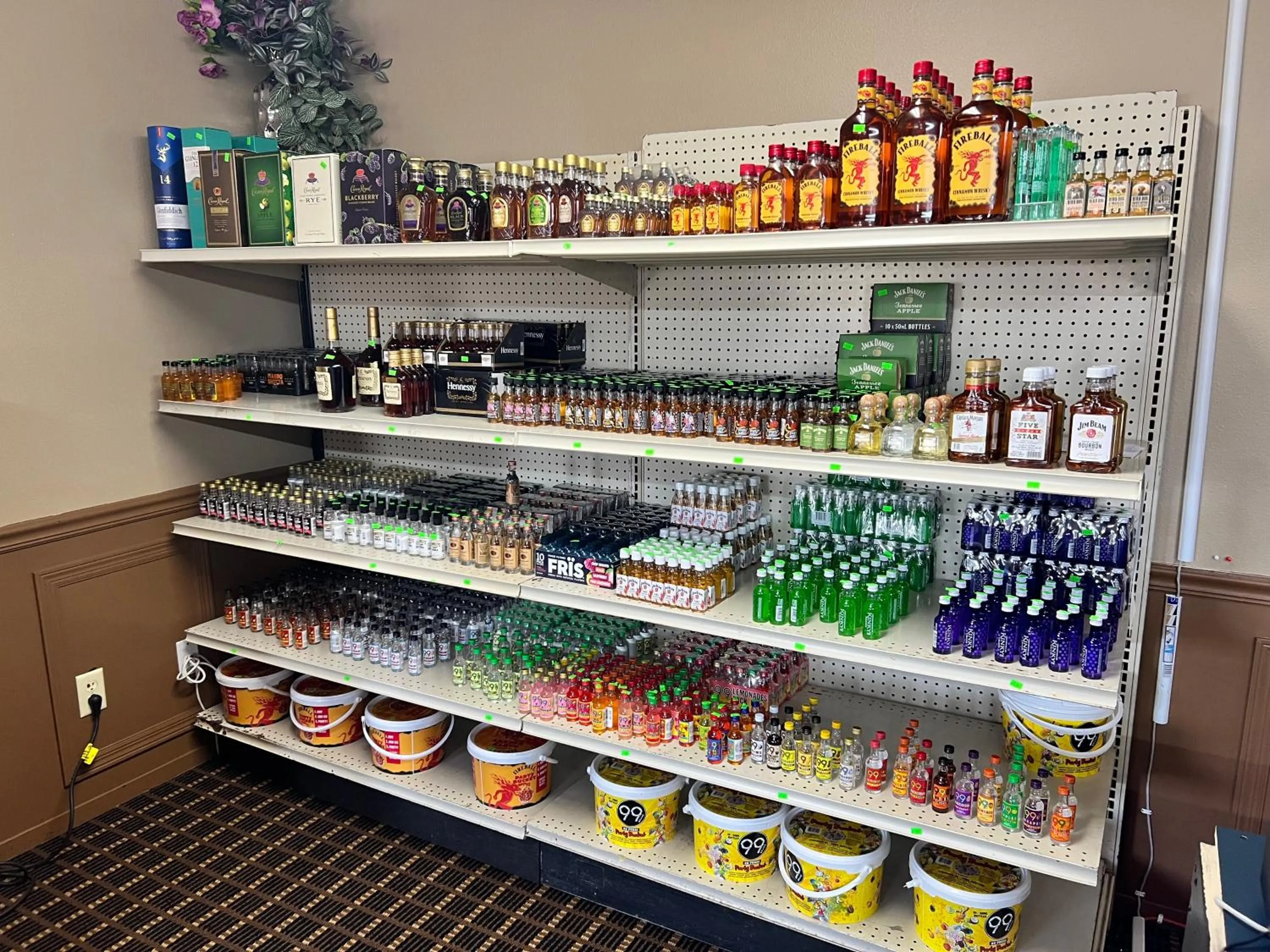 Designer Inn and Suites