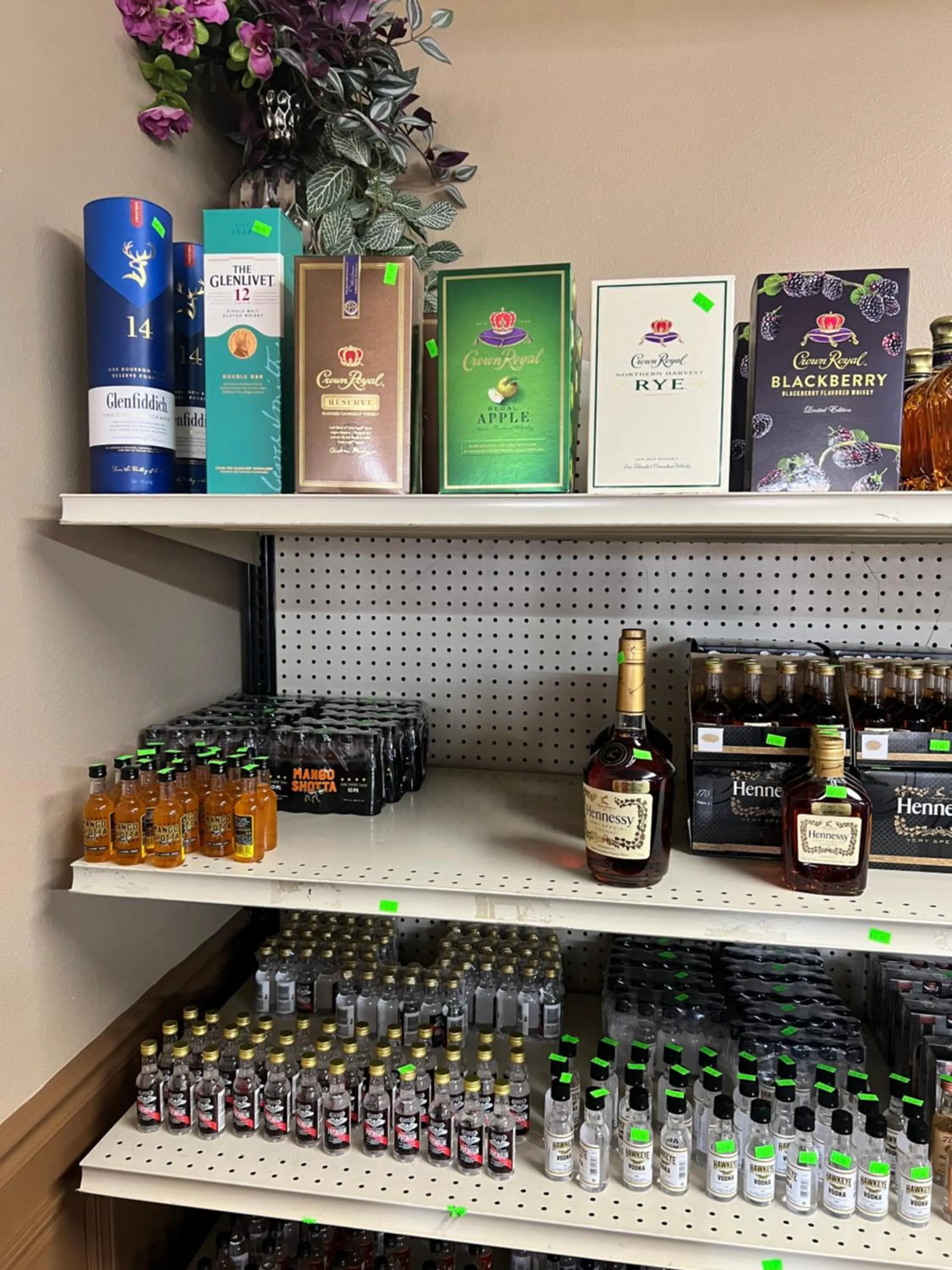 Designer Inn and Suites