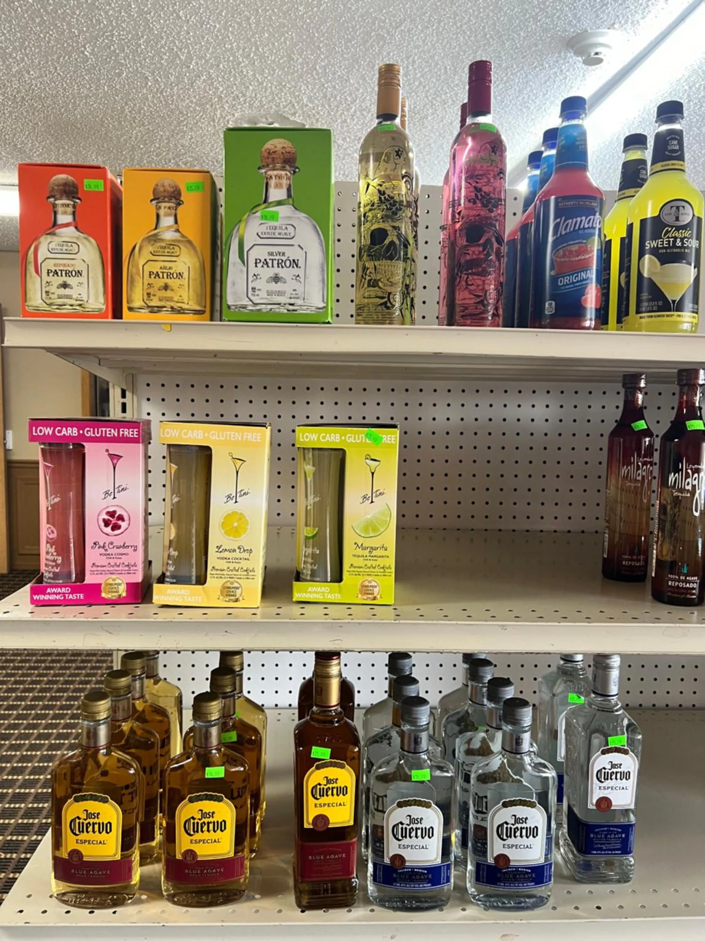 Designer Inn and Suites