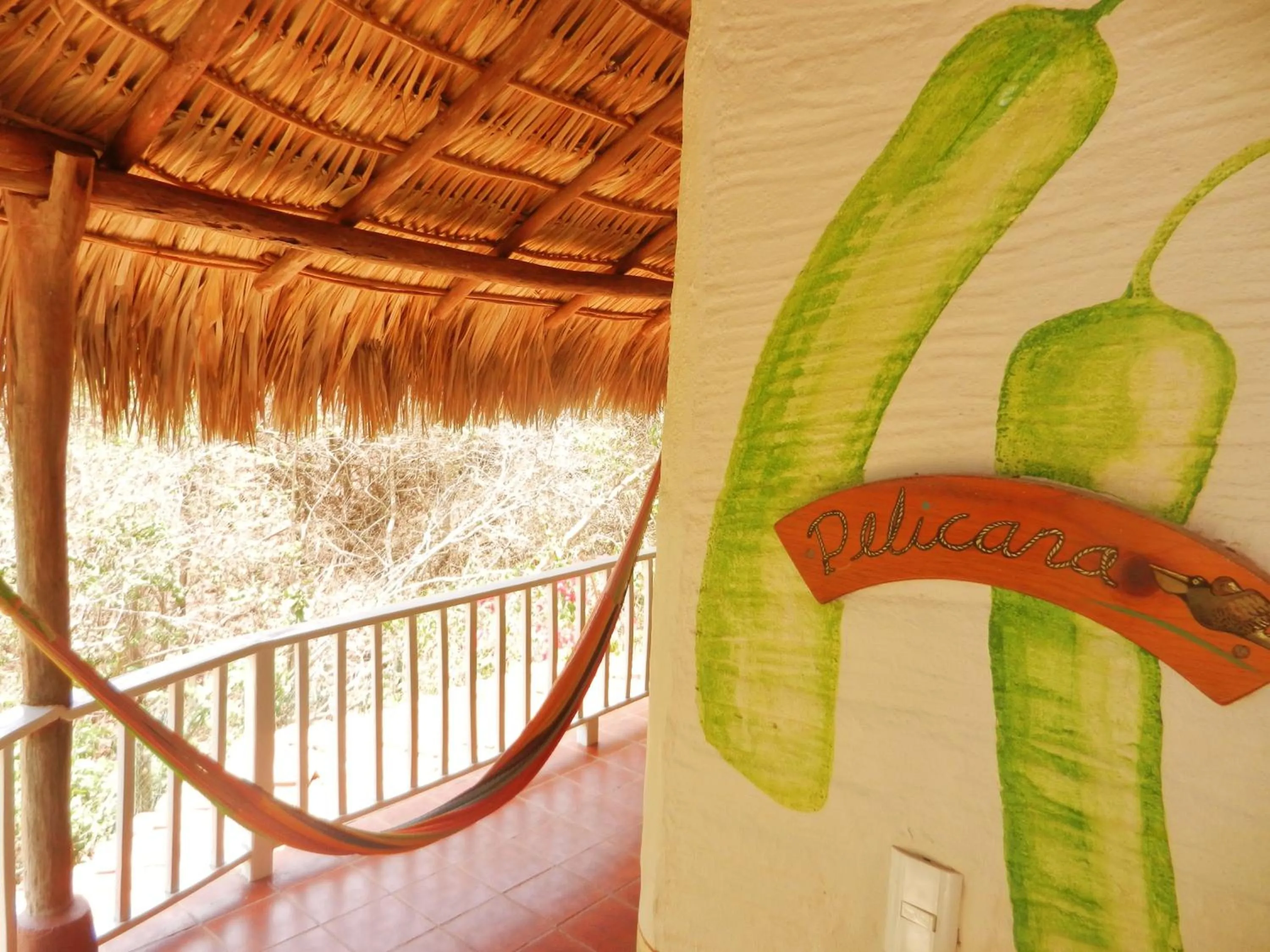 Day in Altamira Mazunte