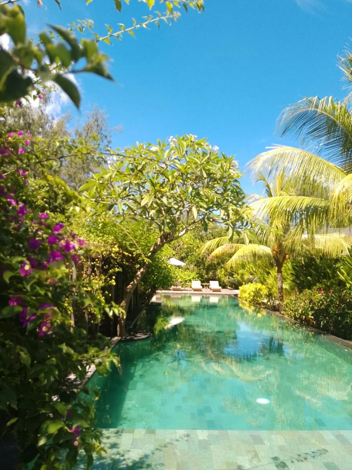 Swimming pool in Villa Penyu Gili Trawangan