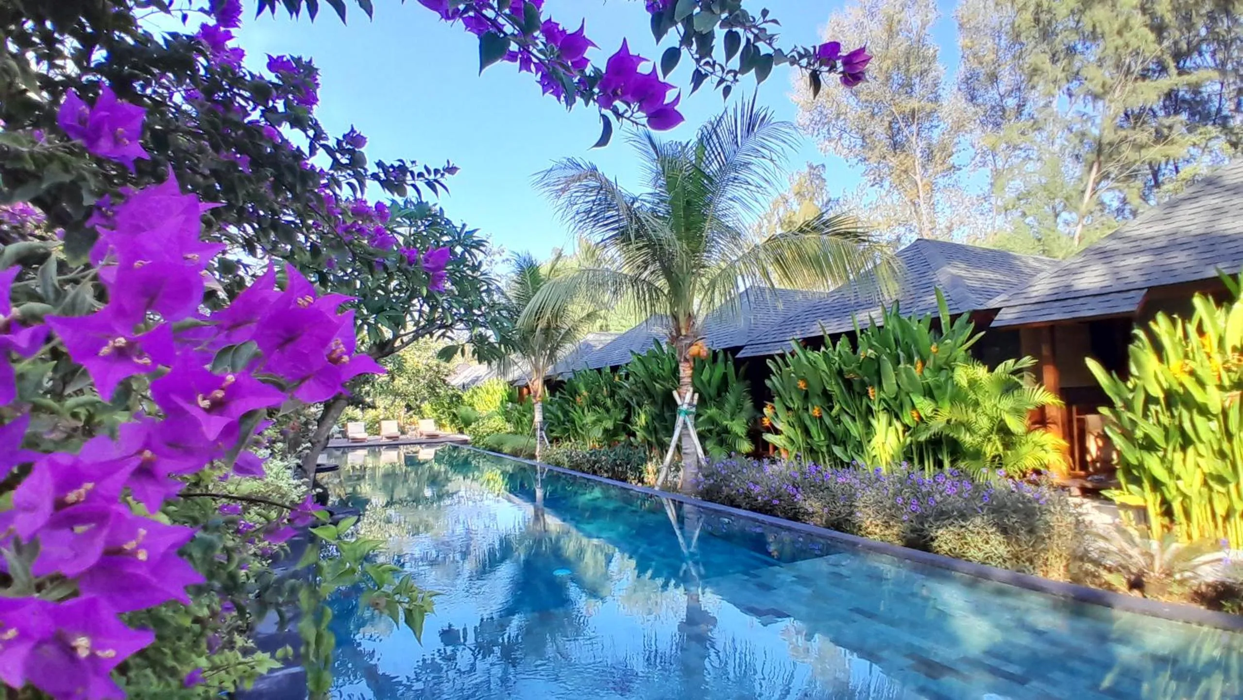 Garden view in Villa Penyu Gili Trawangan