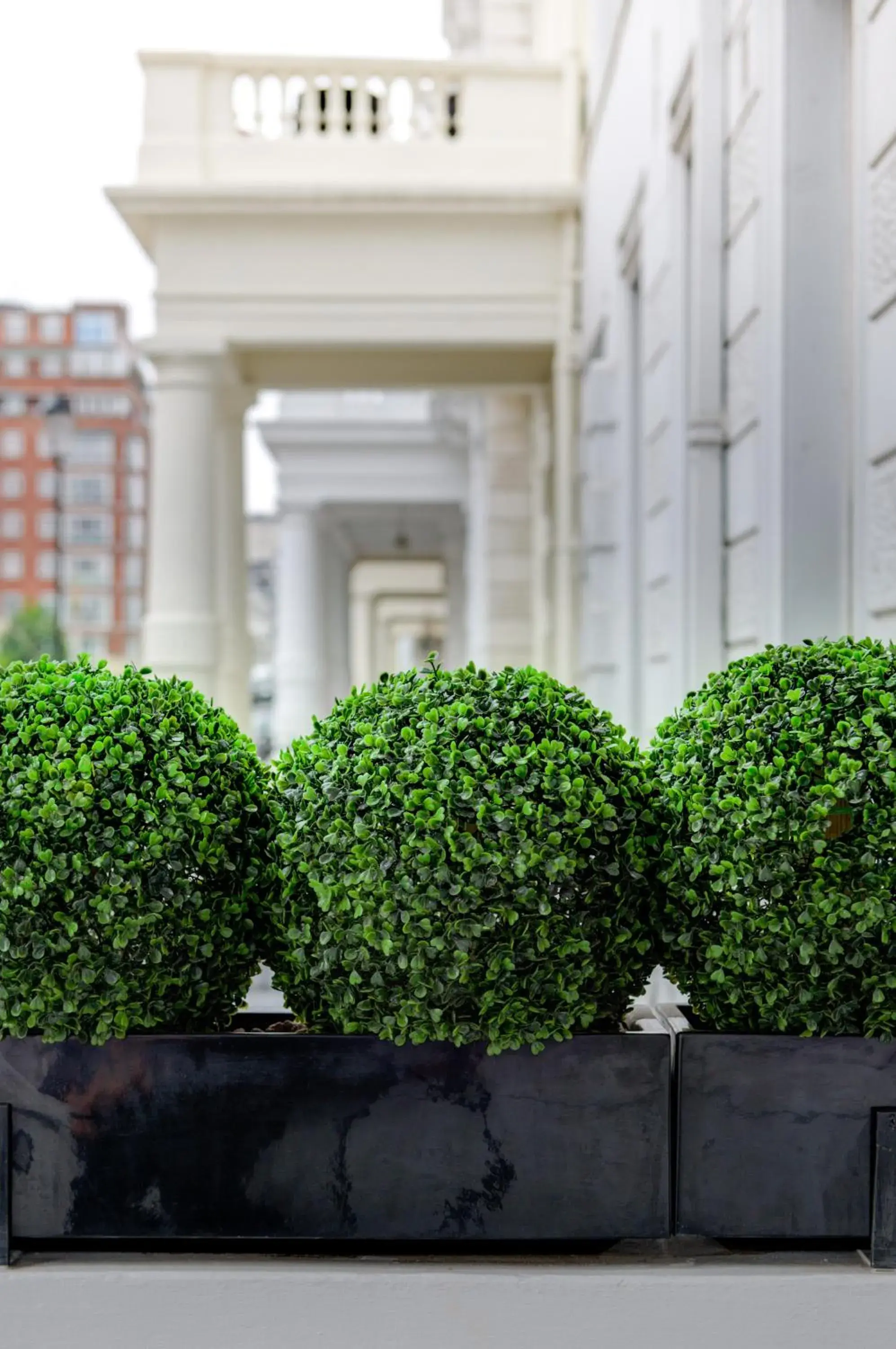 Facade/entrance in Best Western Mornington Hotel Hyde Park Facade/entrance in Best Western Mornington Hotel Hyde Park