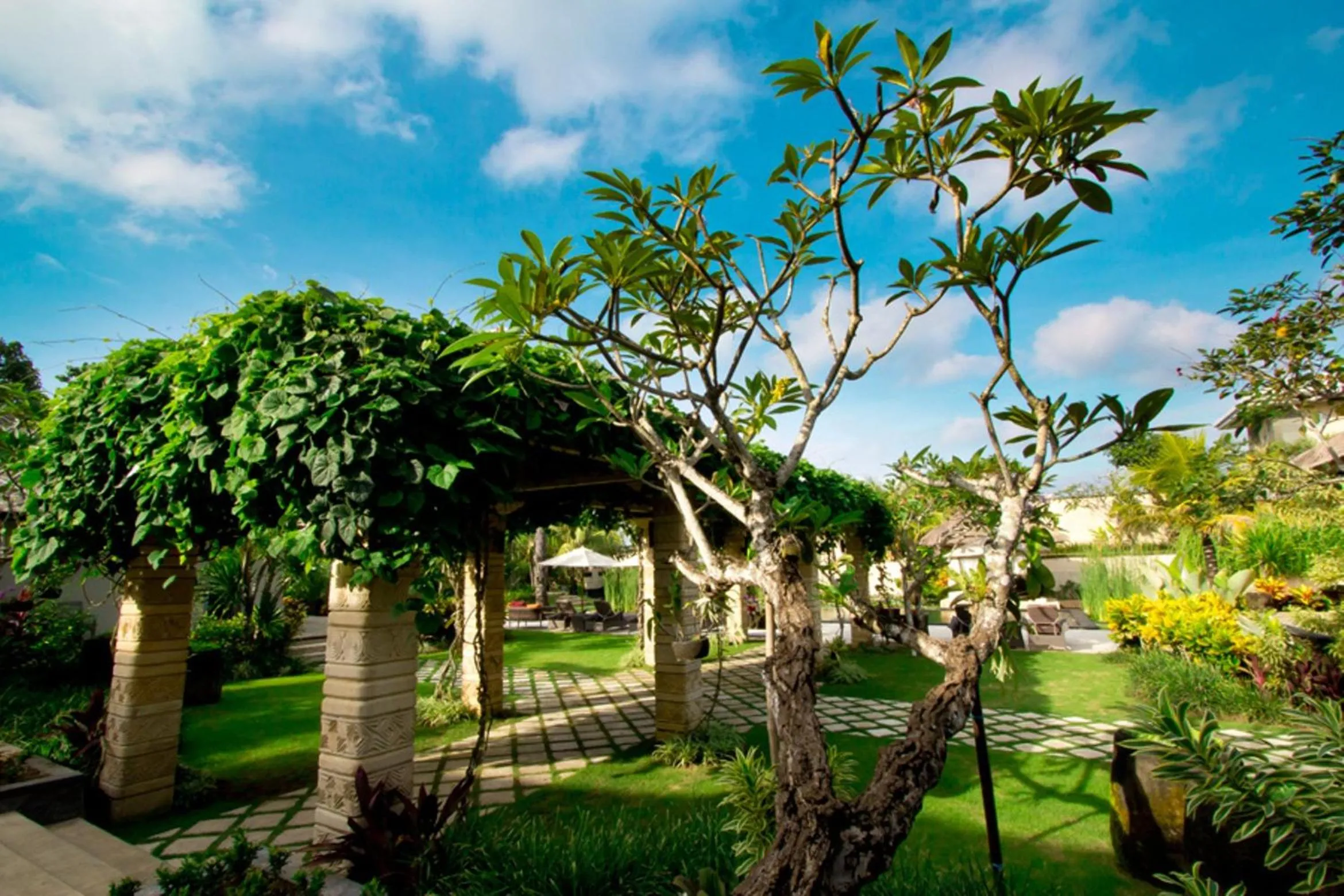 Garden in Villa Teresa