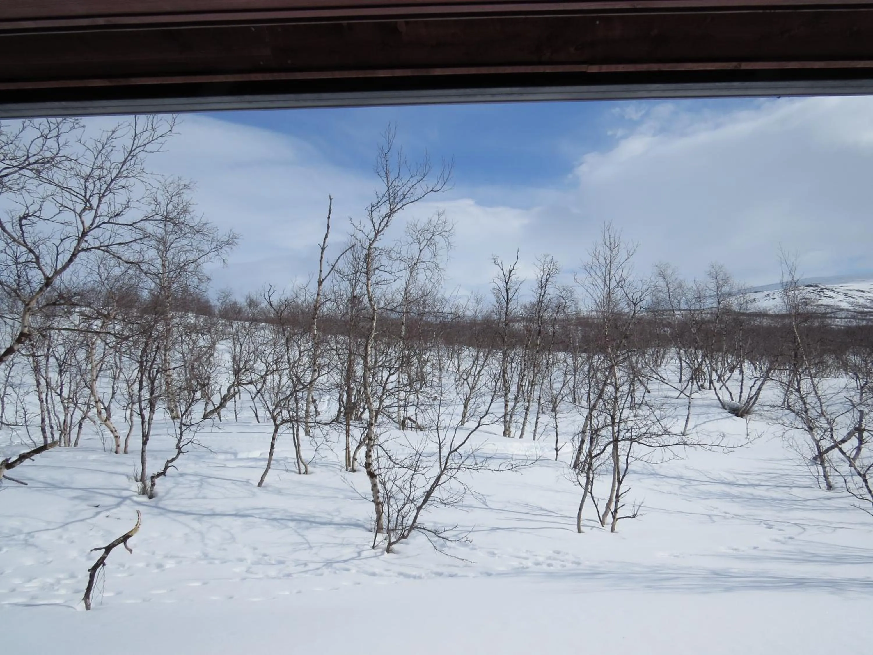 View (from property/room) in Arctic Polar Holiday Village