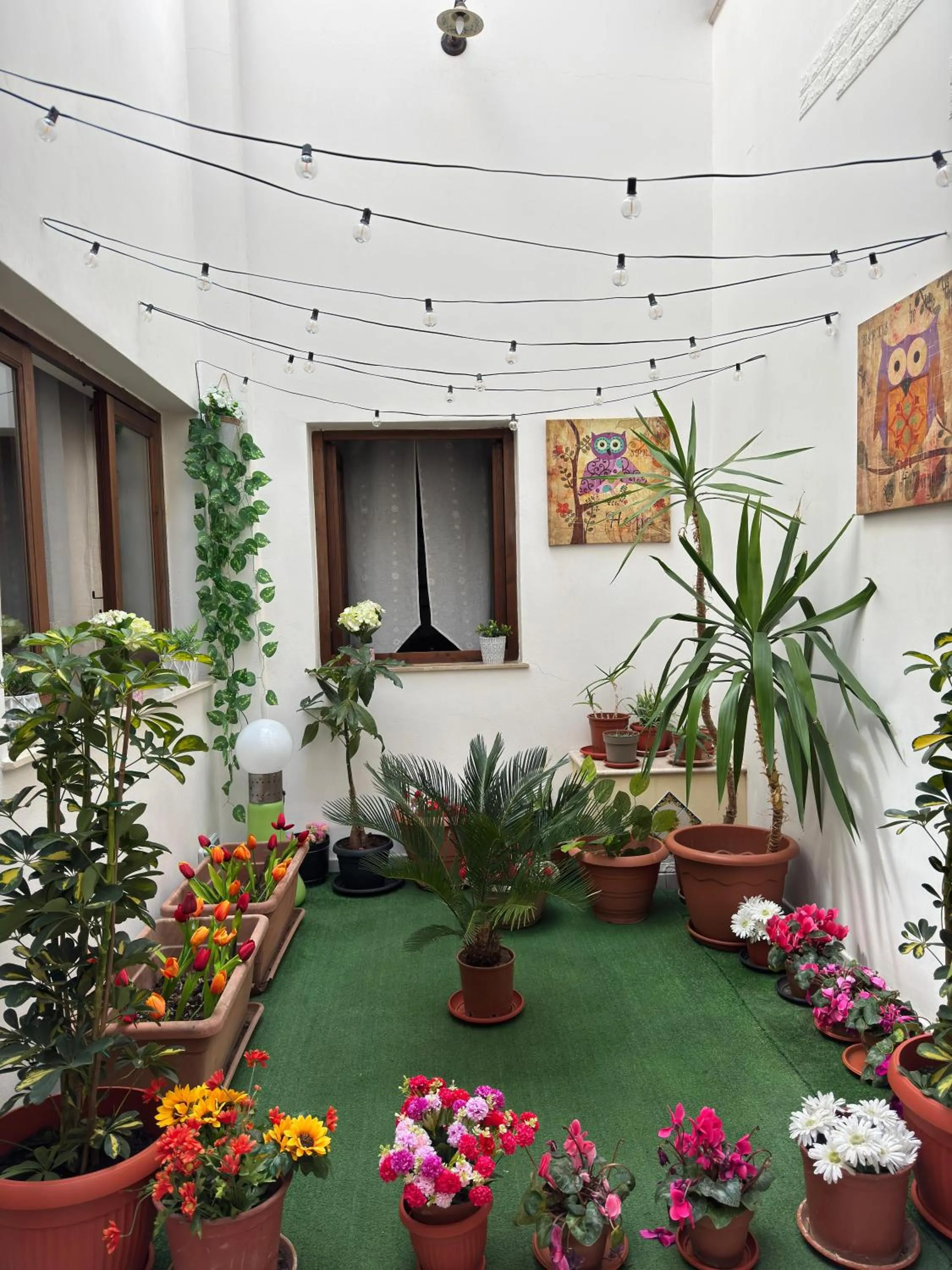 Garden in B&B Gi-Rosa Caltagirone
