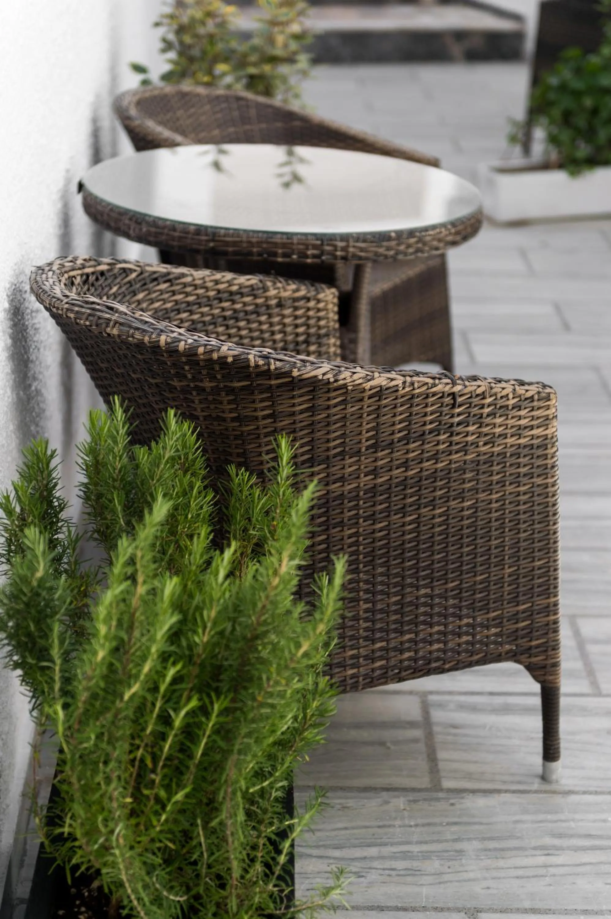 Balcony/Terrace in Hotel Eucalyptus