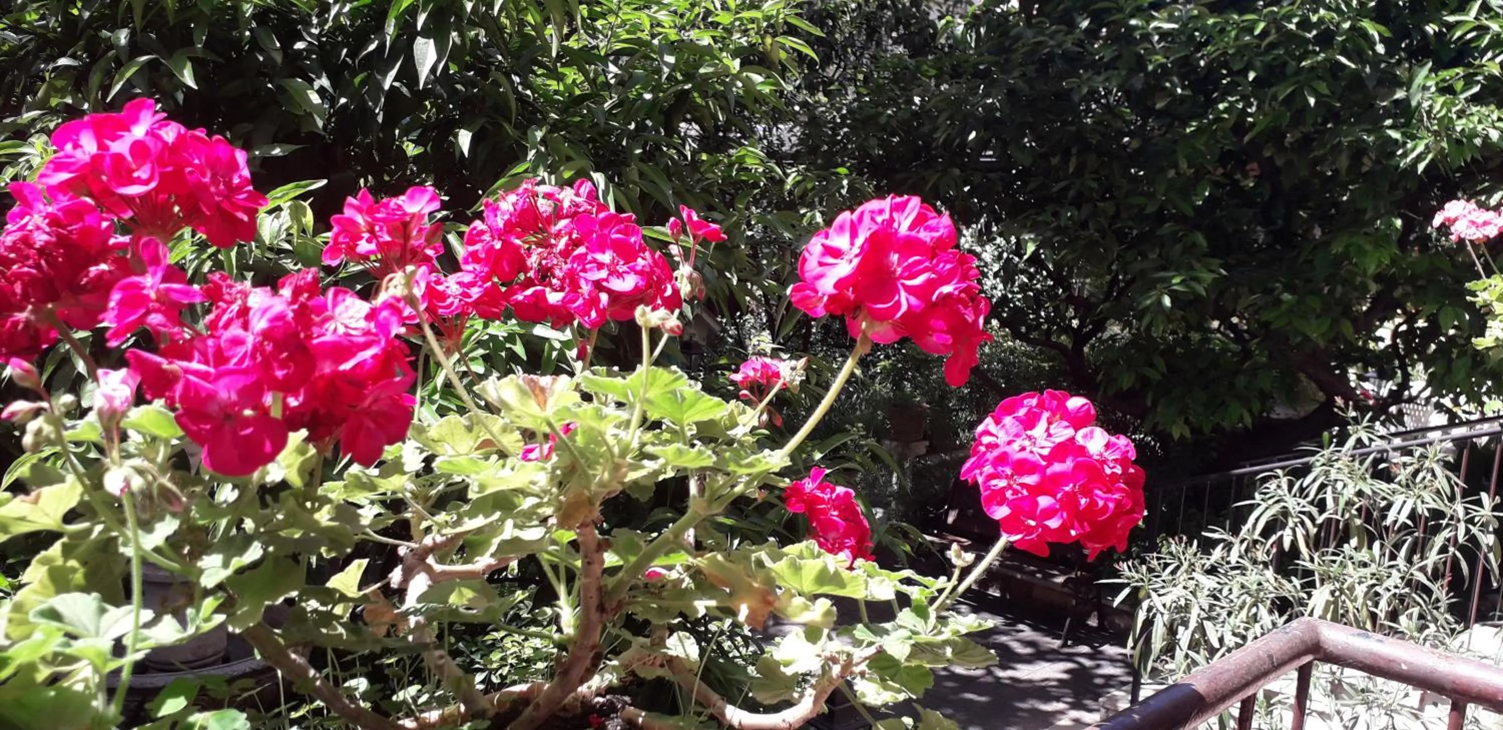 Patio in Gioia Guest House
