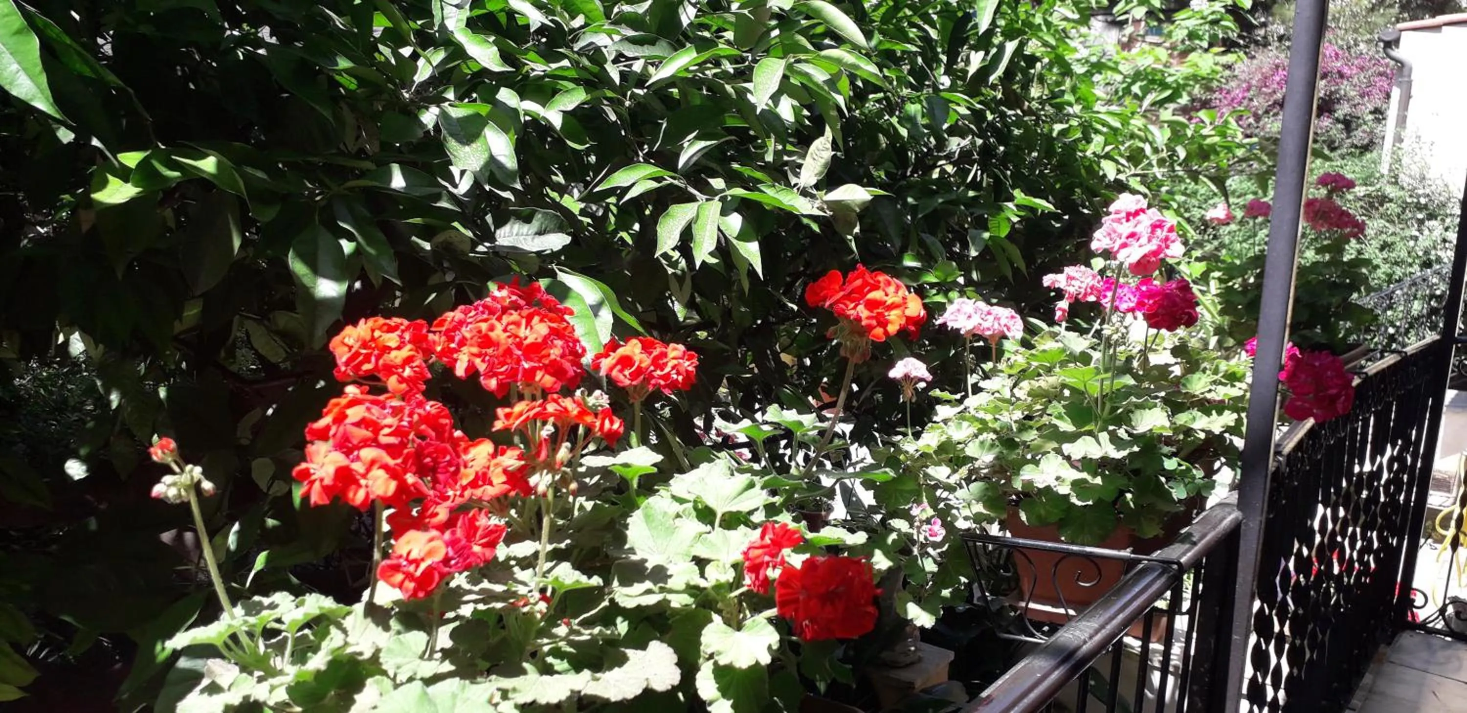 Patio in Gioia Guest House