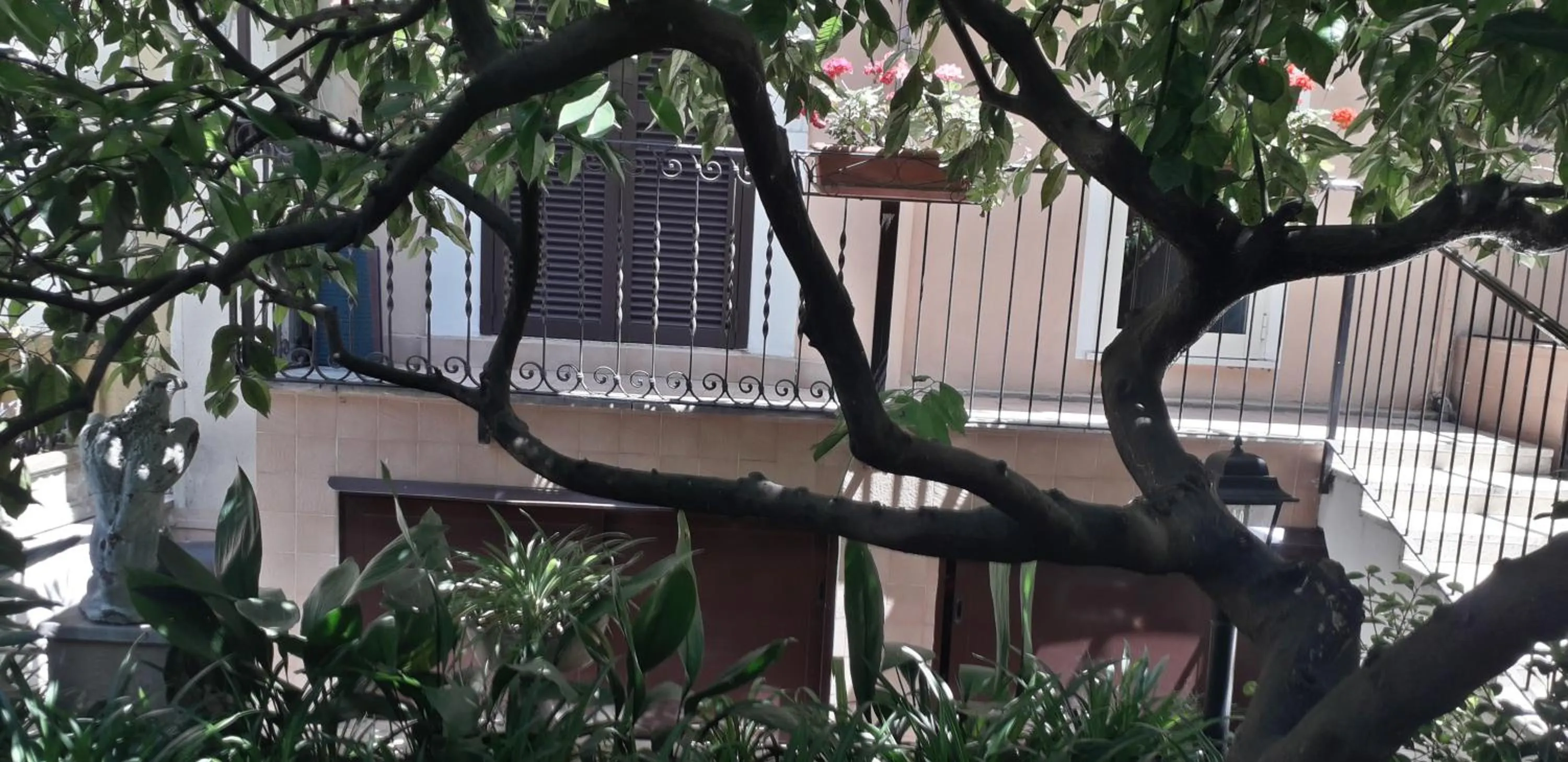 Patio in Gioia Guest House