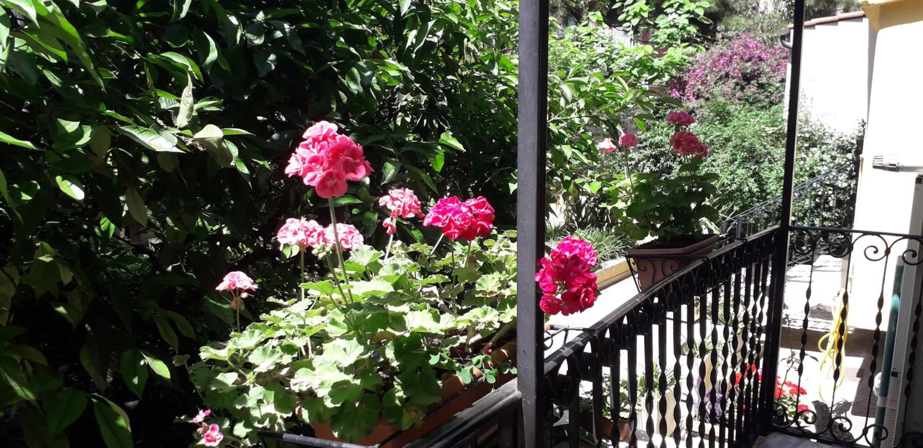 Patio in Gioia Guest House