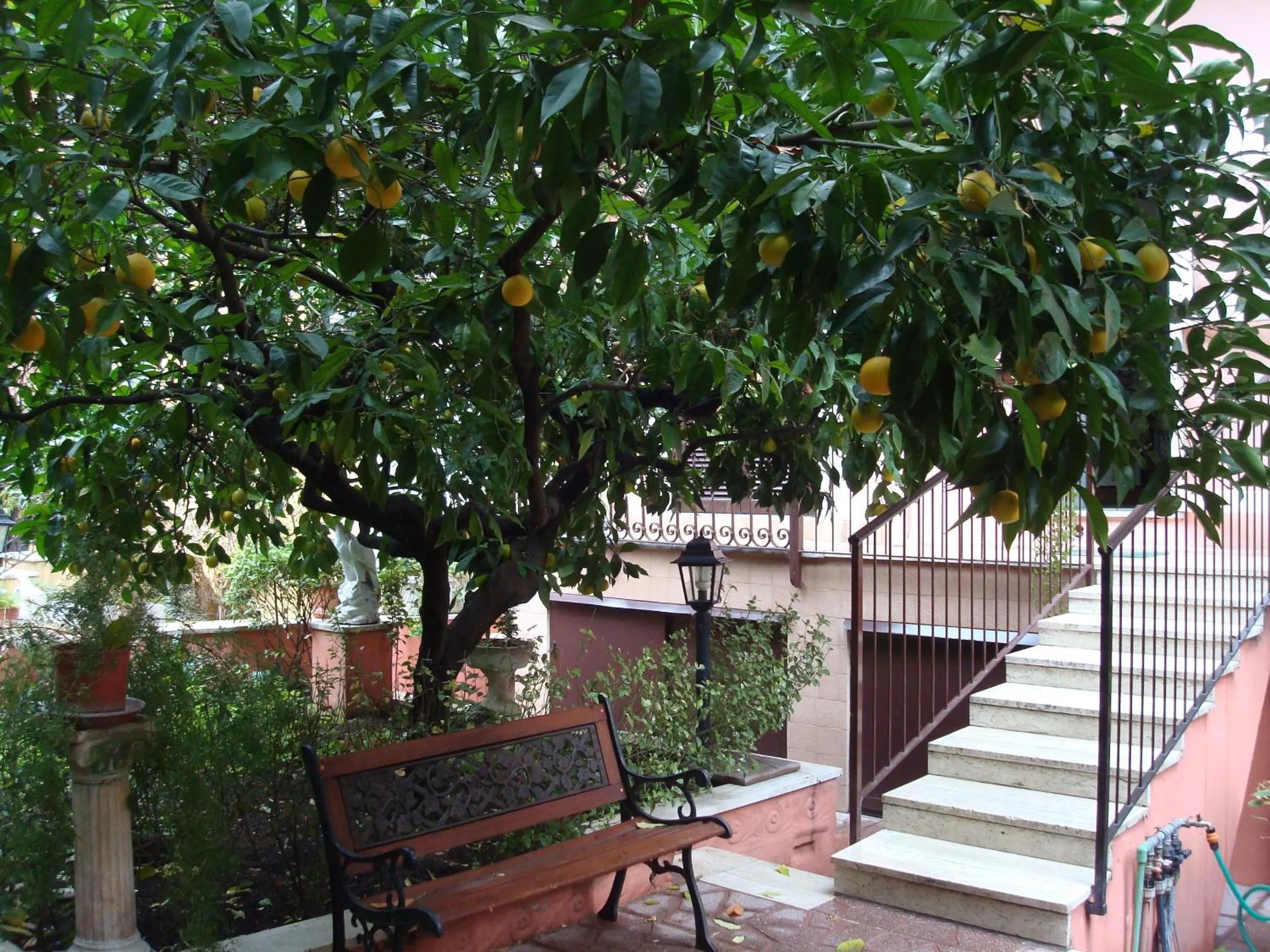 Patio in Gioia Guest House