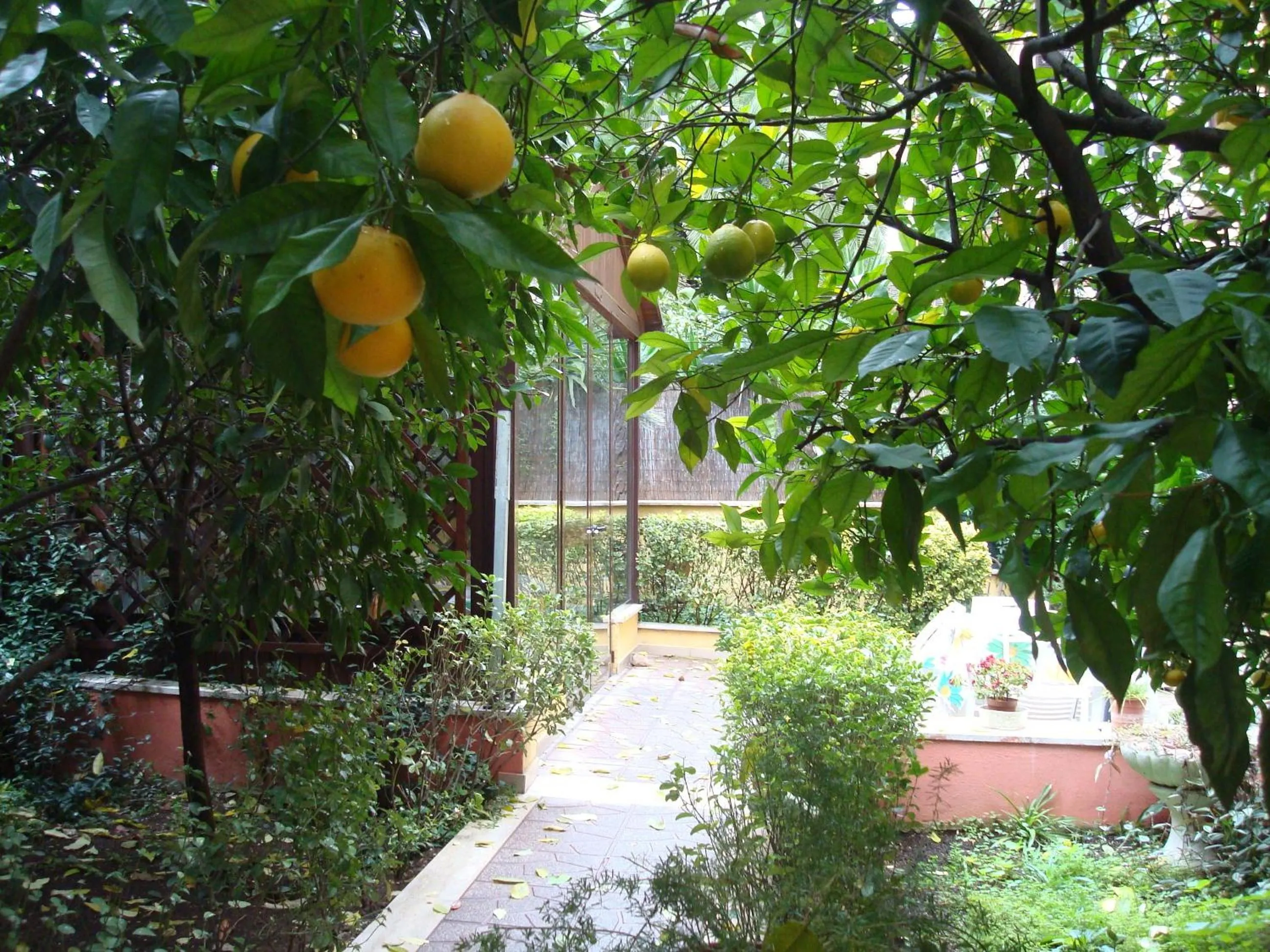Patio in Gioia Guest House