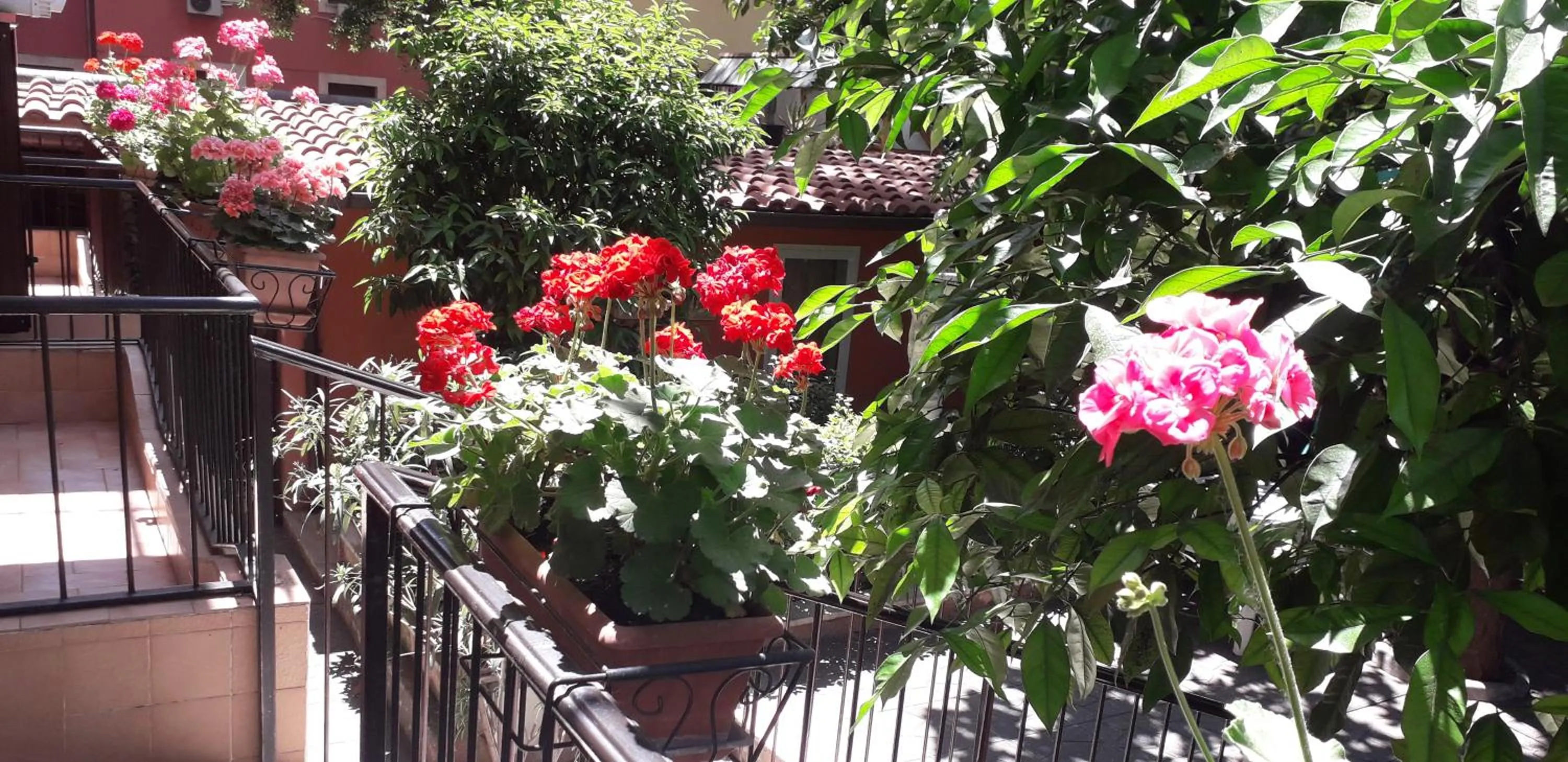 Patio in Gioia Guest House