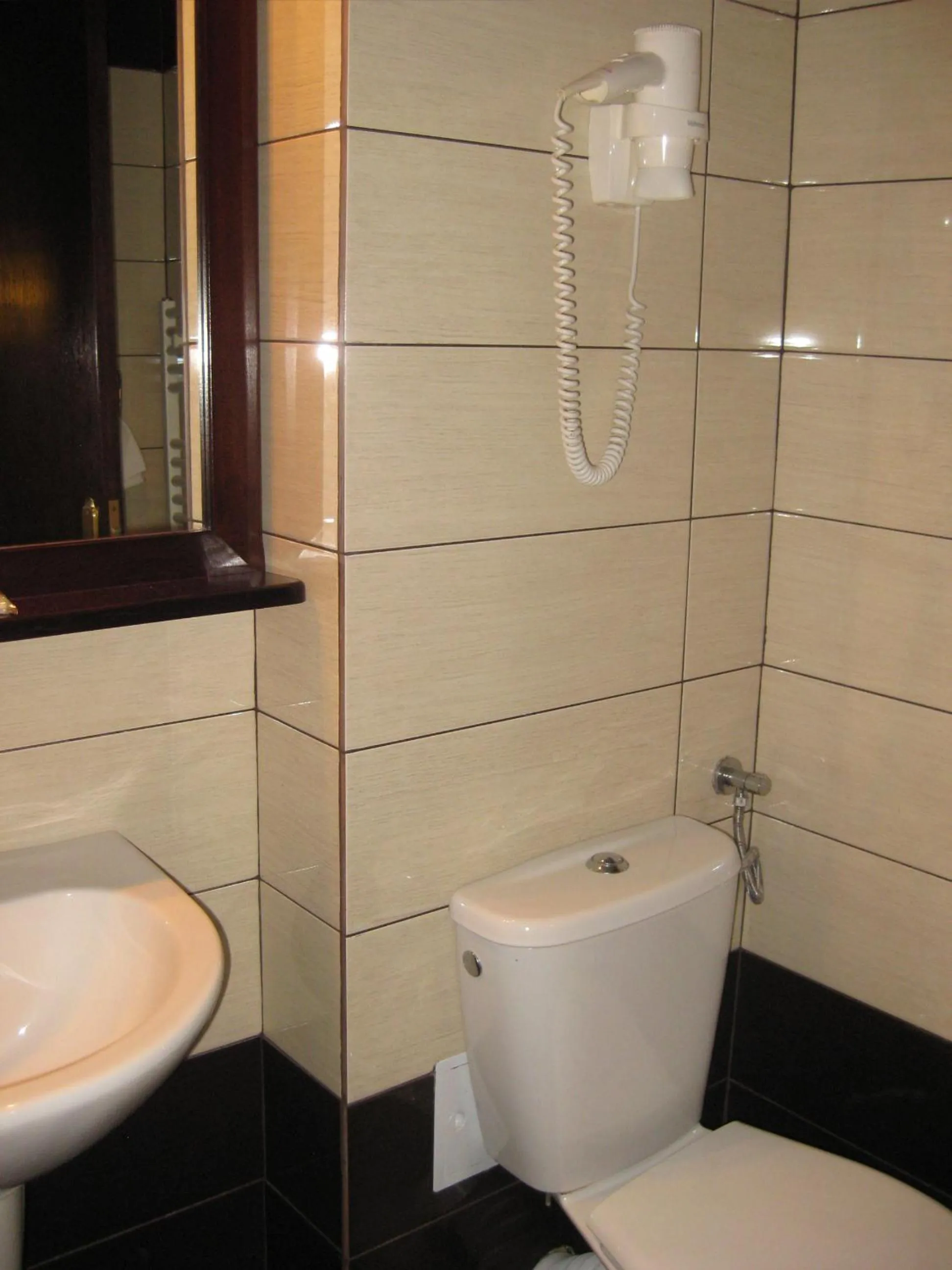 Bathroom in Hotel Anina